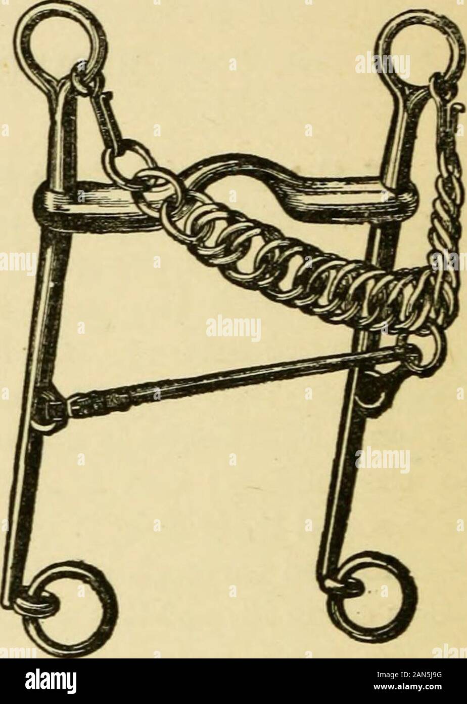 Die Familie Pferd: seine Stallungen, Pflege und feedingA praktisches Handbuch für Pferd-keepers. 90 DIE FAMILIE PFERD.. Abb. 54. - BAUCHER KANDARE BIT. Die gemeinsame Trensen, wie in Abbildung 53 gezeigt. Es ist mit guardsto lieep es ab in die Pferde Öffnung gezogen wird. Die doppelgelenkwelle Trensen bit hat einen kurzen Link an Stelle einer einzigen gemeinsamen in Themiddle. Trensen Bits sind sometimesmade von Twisted-Pair Kabel, aber Sie aresevere und der Mund. Die curbbit, wie in Abbildung 54 gezeigt wird, hat einen Knick in der Mitte, der Hafen, die durchdie Aktion der Zügel, bis gedrückt wird - Abwehr gegen die empfindlichen Bars in der des Dachträgers Stockfoto