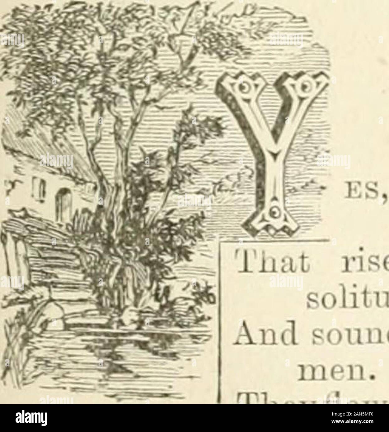 Wayside Bilder, Lieder und Gedichte. Die LANDS END,. Teil I Es sind Vergangenheit, steigen aus oldsolitudes. Und sound entlang der überfüllten Gerichte der Männer. Sie fließen unter den Rosen der Frühling. Auf der Streams Wavelets, im Werben um Winde, und Mitte der frischen Tropfen der vernal Dusche. Sie reiten auf den Renner von Sturm. heult rund um die Ruinen der Einsamen vergossen, Stimmen, Anklänge an; Und mm-Mur durch den Kalten verlassen. schweben Sie über den Fluten der Tiefe, oder heulen unter den Leistungsschalter in der Nähe zu loben: Sie zittern m Die fließenden Wald - Oden. Und unter den Weilern Bäume Verbreitung singen. wenn morn ist breakin Stockfoto