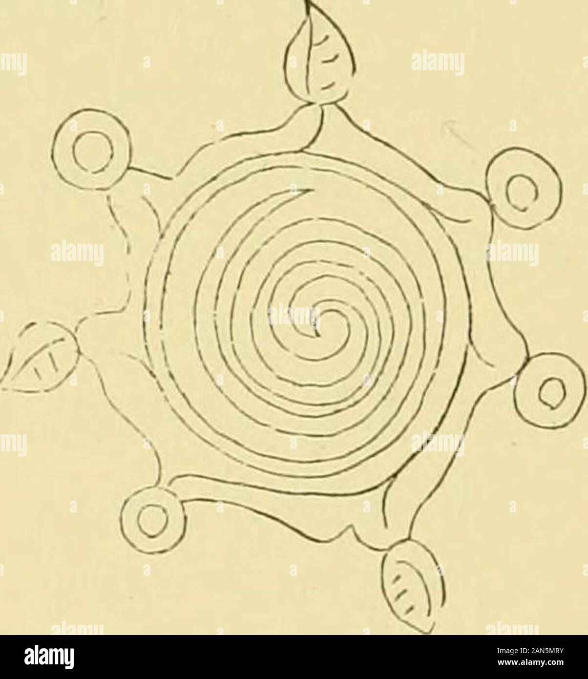Determinanten Fotos und Bildmaterial in hoher Auflösung Alamy