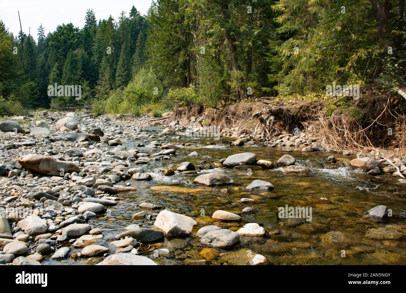 Der North Fork des Callahan Creek, der durch die Cabinet Mountains nach Westen blickt, im Lincoln County, Montana. Stockfoto