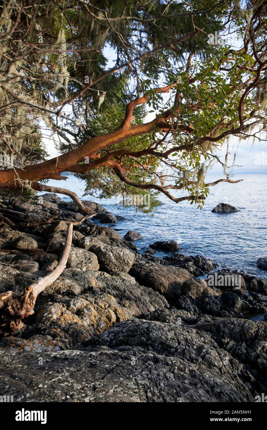 Ein Blick auf das Wasser von East Sooke Regional Park, Vancouver Island, British Columbia, Kanada. Stockfoto