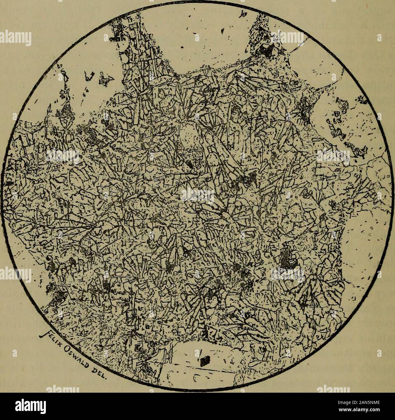 Die Zeitschrift der Geologischen Gesellschaft in London. picuousinstance, und das Diagramm (Abb. 2) vermittelt einen Eindruck von den relativen Anteil der Matrix und Kristallen. Ein Vergleich der Struktur wie oben beschrieben mit dem generallypresented durch den Syenite * in anderen Teilen der Porest * * Siehe Hill und Eonney, Quart scheint. Journ. Geol. Soc. Vol. Xxxiv. (1878) S. 211, andMr. Tealls Fuller und verbesserten Beschreibung, Britische Petrographie, S. 270, &c. 102 PROP. T. G. MOTORHAUBE AUF EINEM KONTAKT - STRTJCTURE werfen Licht auf einige allgemeine Fragen, die in der Geschichte der igneousrocks vom mehr Säure Stockfoto