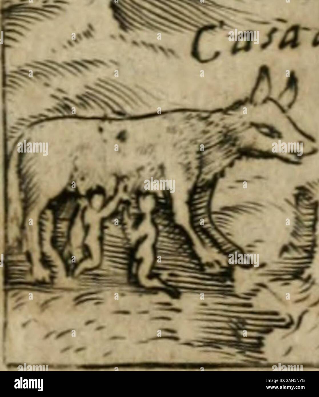 Ritratto di Roma antica: nel figvrati qvale sono i principali tempij, Theatri, anfiteatri, cerchi, naumachie, Archi trionfali, curie, Basilika, colonne, ordine del Trionfo, dignita Militari, e cerimonie ciuili, Riti, & altre cose di nuouo aggiuntoui notabili: Le vite, & effigie de 'Primi rè di Essa, e le grandezze dell'Imperio Romano, con l'esplicationi istoriche de' piu celebri antiquarij. rtij< S?^^^ - Stockfoto