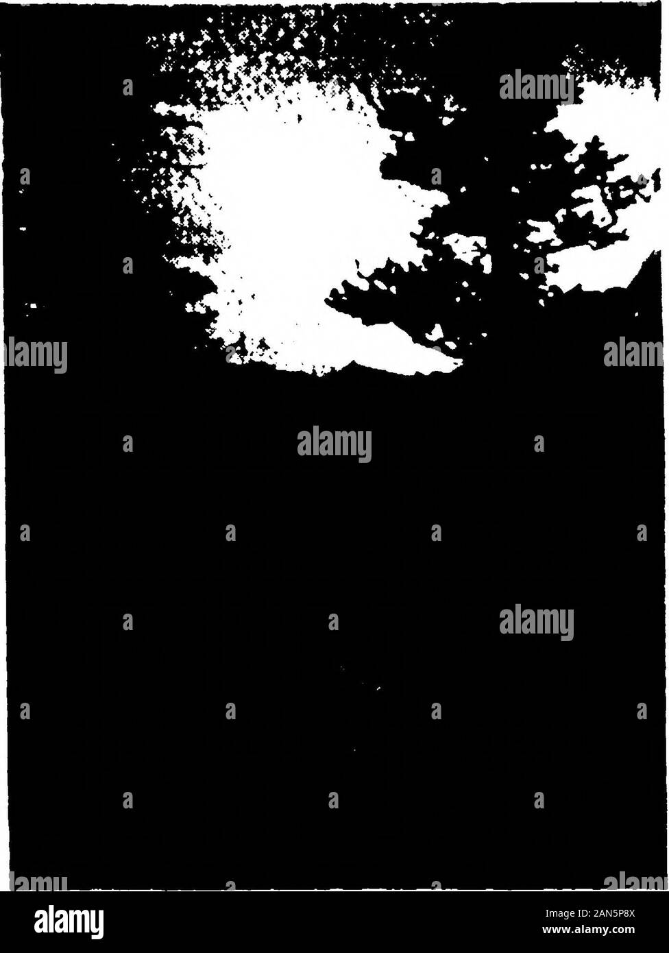 Die kanadische Krankenschwester. ren, und noch eine effiziente Arbeit. Kann thisbe stimmt, ich überlegte, wie meine Augen andears auf die Szene vor mir gewarnt.44 Wie sinnvoll und mühelose Com - mit der Ehemaligen mühsam meth geschnitten - od Bis 12.00 Uhr r alle Gedanken an Schlaf hadvanished und stattdessen war ich greetingfriends und eifrig Anzeigen exhibitsand Hobby wird angezeigt. % Der Tag trug. Wie ich watchedand hörte, erkannte ich auch, mit muchregret, wie Gleichgültig Ich hatte becometo mein Beruf, und wie zu Tage weg, Golf selfishlyattached nach Pflicht, ein Wochenende in Seattle oder dass checktwice ein Monat. In der Pause da, dieser Gedanke h Stockfoto