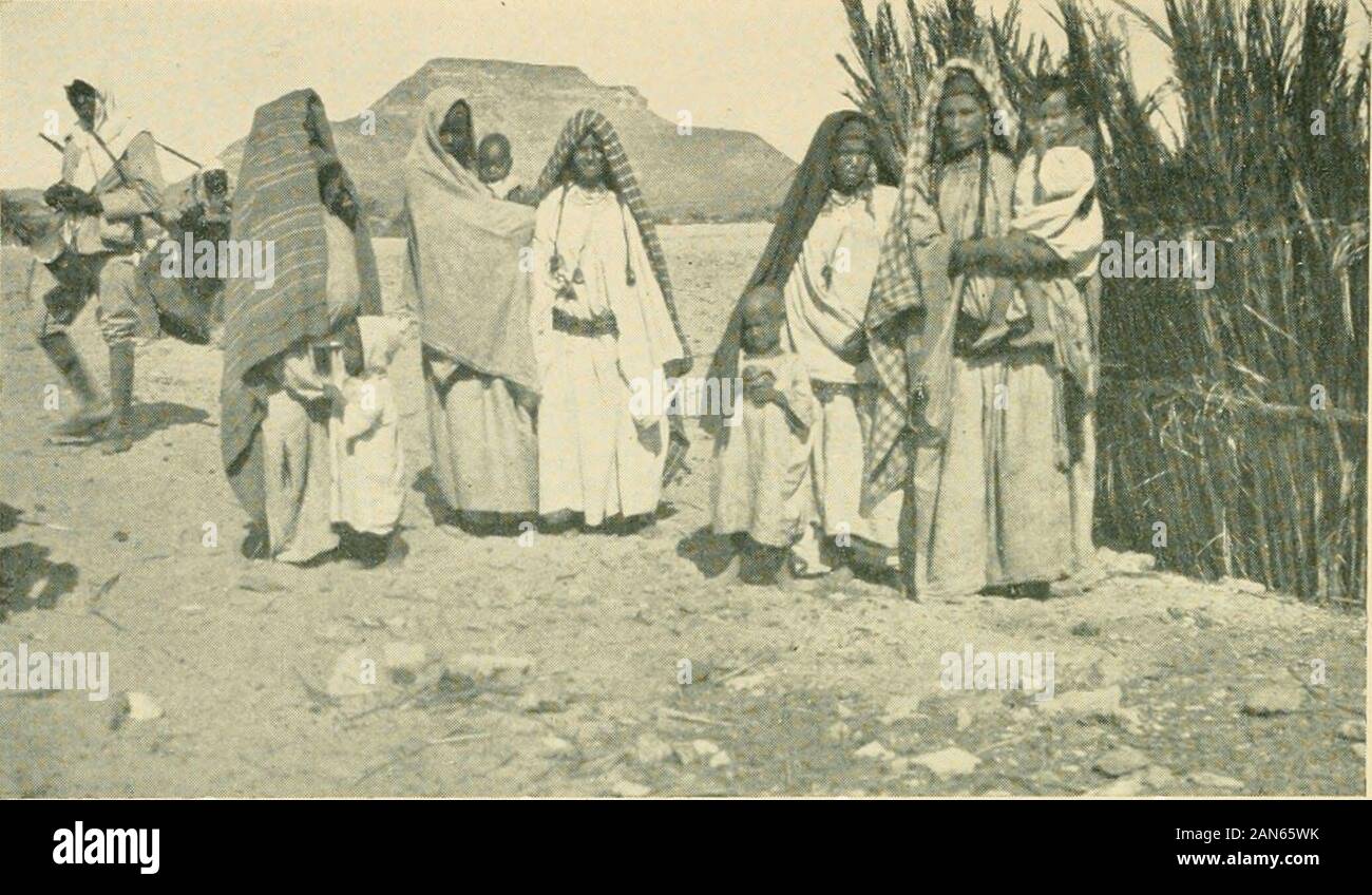 Das Geheimnis der Sahara kufara. h^Die AITIIOR OCHSE einen CAjrEI. Bei