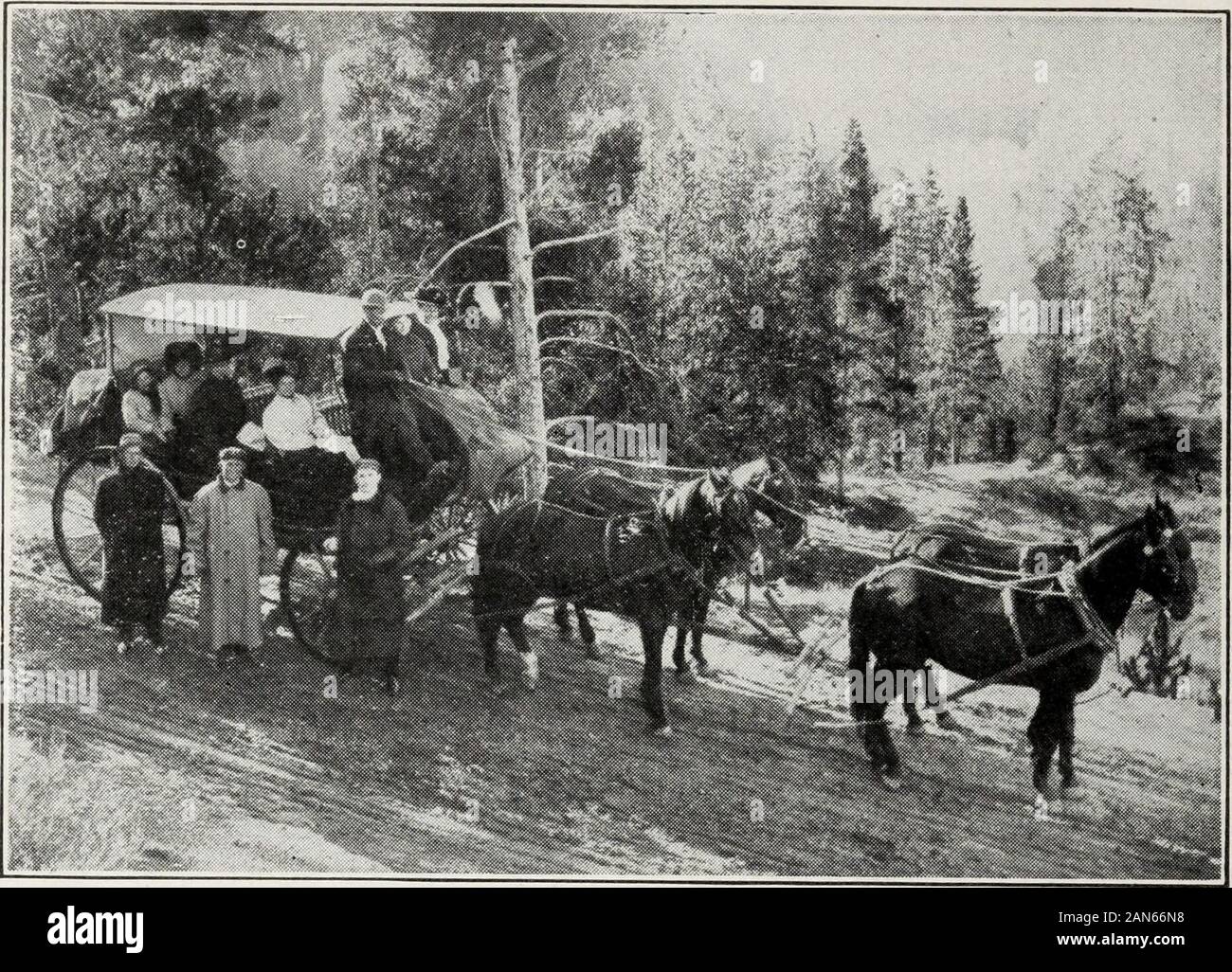 Haynes neuen Guide und komplette Autofahrer "Straße des Yellowstone National Park. arty Anmelden am Fort Yellowstone organisiert wurde thewinter reicht der Tiere zu besuchen, die Anzahl ofbuffaloes und Fotografieren zu ermitteln. Die Partei bestand ofCaptain Scott, lieut. Forsyth, Scout Burgess, EobertBurns, Fotograf Haynes, und drei Nicht-commissionedofficers. Auf norwegischen Schneeschuhen, mit Paketen von sleepingbags, Rückstellungen und Kamera, gingen sie direkt über Xorris toHayden Tal und dem Grand Canyon. Theyfound 81 Büffel im Tal, 73 inone Herde; und zahlreiche Gruppen von Stockfoto