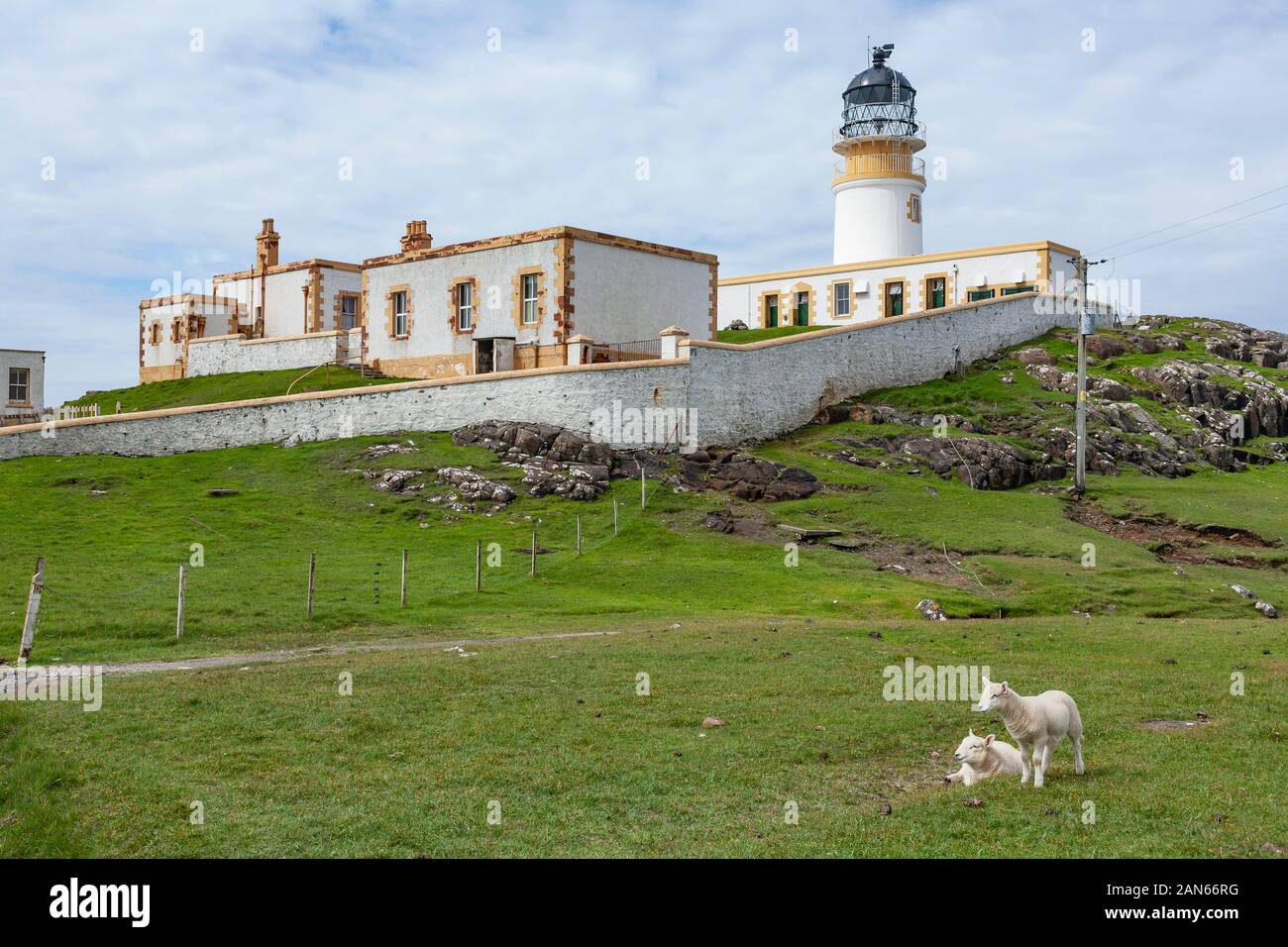Neist Point Lighthouse, Felder, die Klippen und die Schafe auf der Isle of Skye in Schottland. Stockfoto