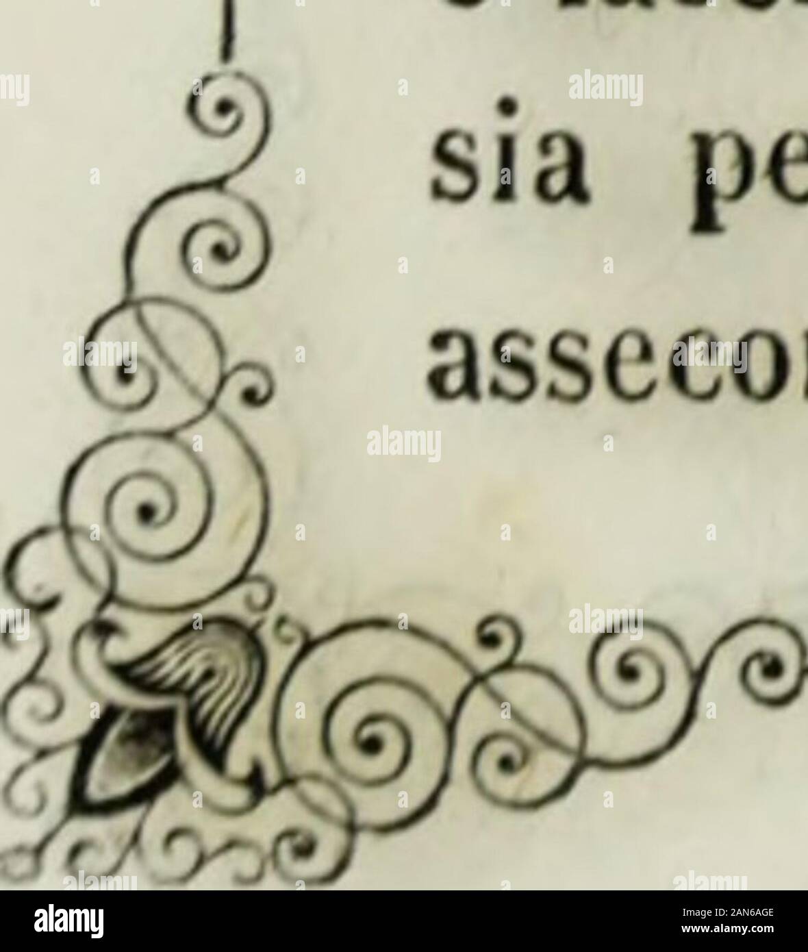 Storia di Castiglione delle Stiviere sotto il Dominio dei Gonzaga. Ich sommo giovamento pro leducazione dellefanciulle bennate - Andò sempre prosperando - Sintraprende la Fab-Chicco del Convento e della Chiesa pei Gesuiti ;- Erezione dellinsigne Col-legiata in Castiglione, ottenuta col Breve di Paolo V del 6 luglio 1607 - Benefici instituiti nella Stessa - Erezione della Chiesa dei Minori osser - Vanti di S. Francesco - Insigne Beispiel di castità, Offerto da DomenicaCalubini, e Statua erettale-Si organizza in Castiglione la Società gesui - tica-Cranio del Beato Luigi fatto " venire da Roma, e Riposto Stockfoto