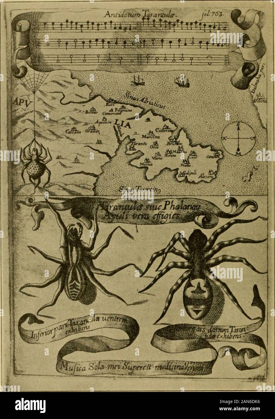 Trypanosoma brucei Fotos und Bildmaterial in hoher Auflösung Alamy