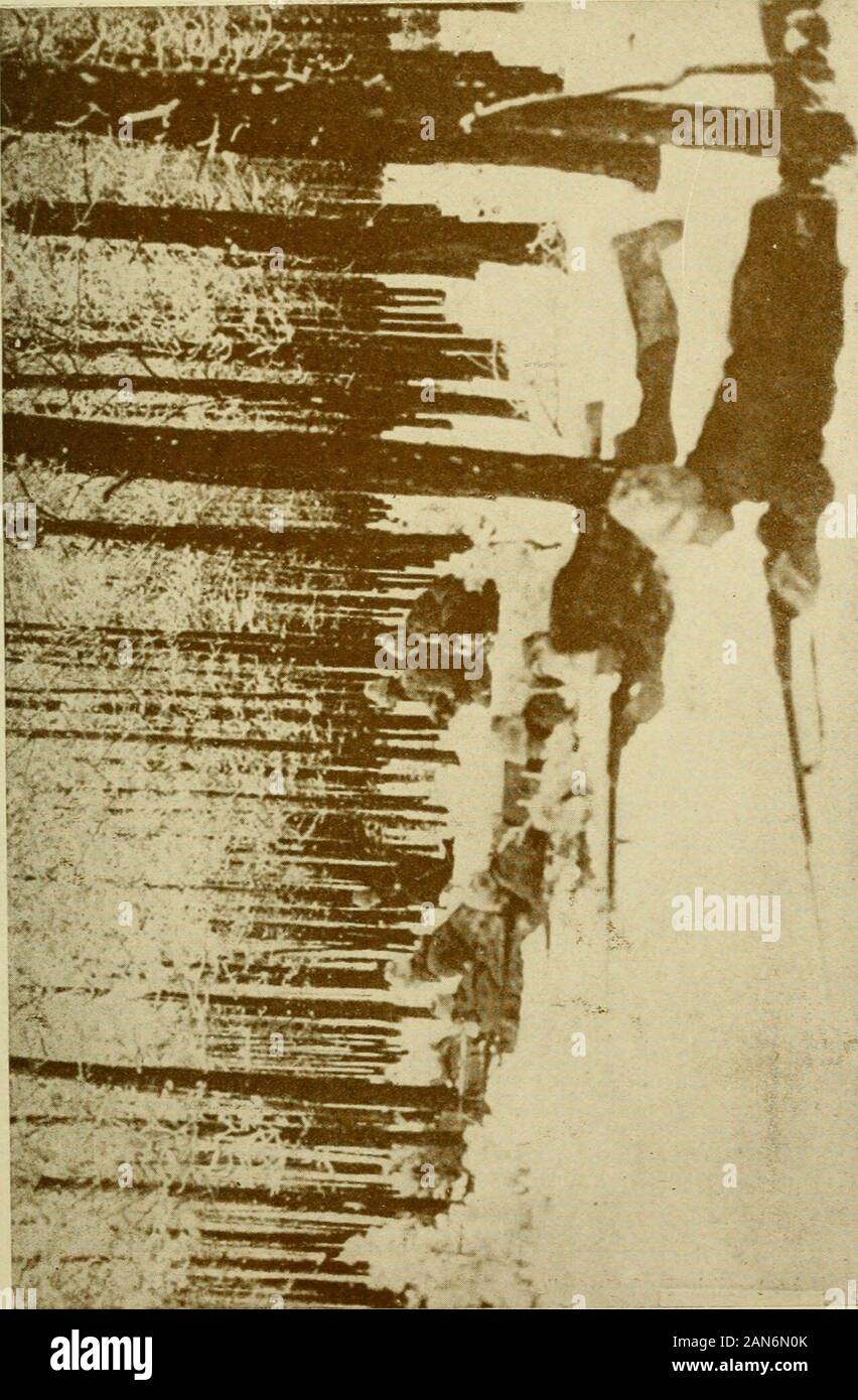 Singende Revolution Stockfotos Und Bilder Kaufen Alamy