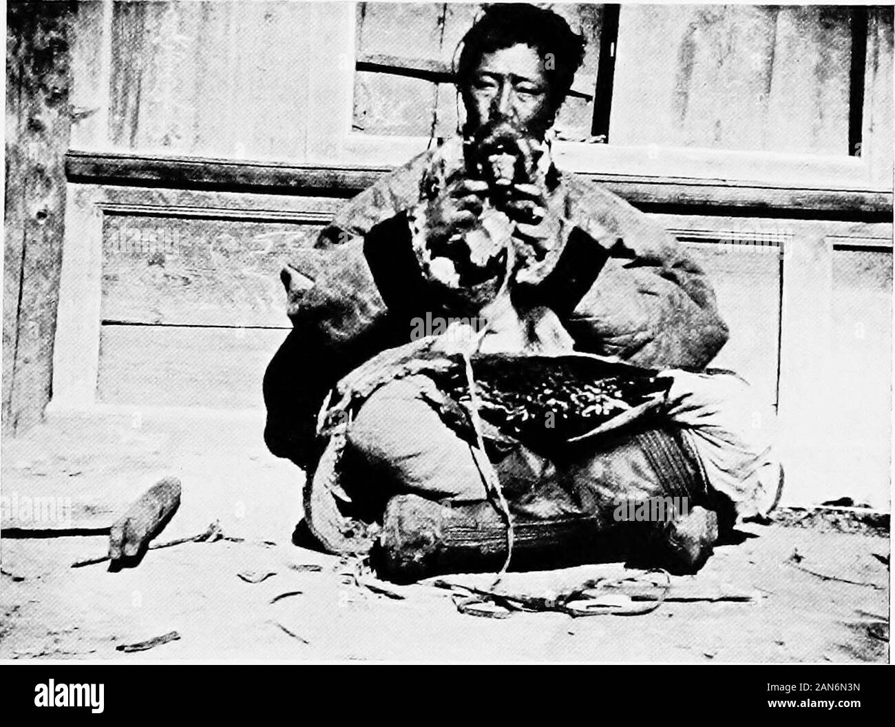 Reisen von einem Konsularbeamten in Osttibet: zusammen mit einer Geschichte der Beziehungen zwischen China, Tibet und Indien. Einige grosse Spiel die Köpfe von OSTTIBET, wilde Schafe, Antilopen und Gazellen. MONKEY von OSTTIBET PLATTE LXII Stockfoto