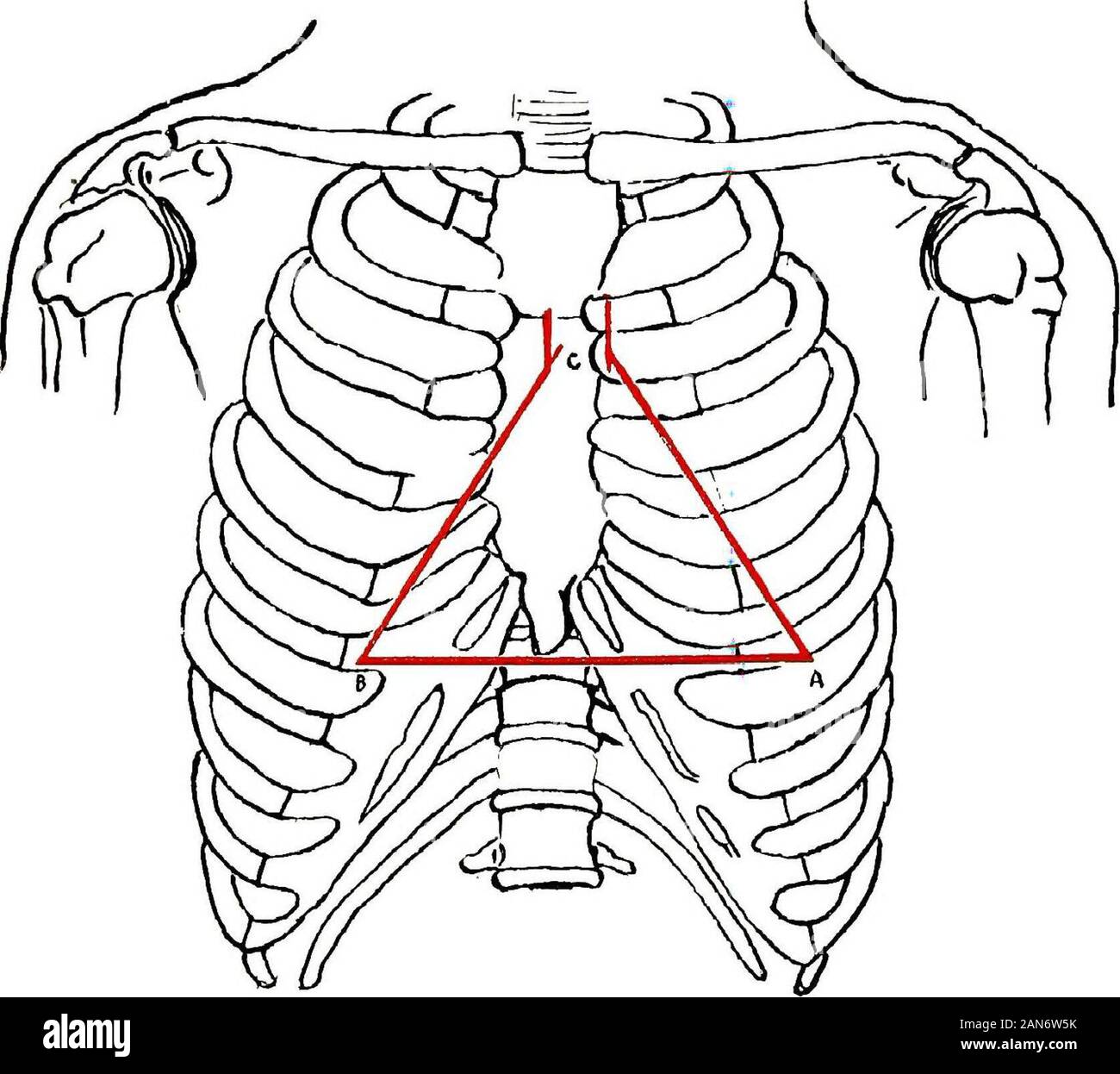 Die Anzeichen für interne Krankheiten, mit einer kurzen Betrachtung der