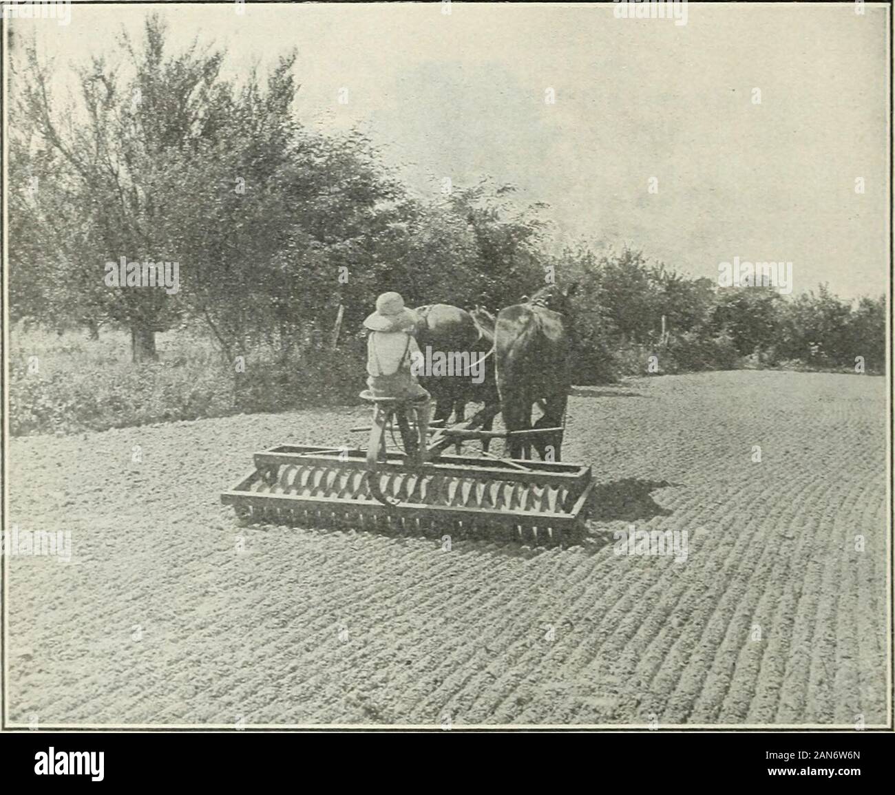 Landwirtschaftliche Boys' Club arbeiten in den südlichen Staaten. rritory für den Anbau von Erdnüssen angepasst. (Abb. 3.) des Gerätes der Anbauflächen in Erdnuß-Clubs ist 1 Hektar. Die Messung der Ernte.- die Ausbeute in Bushel zu bestimmen, wiegen die Erdnüsse in der Rebe, wenn Sie gründlich geheilt wurden. Dann wiegen sie 100 Pfund getrennt. Die Erdnüsse aus dieser 100 Pfund und die Gepflückten Nüssen wiegen. Multiplizieren Sie das Gewicht aller 114370° - 19 2 10 ABTEILUNG RUNDSCHREIBEN 38, C.S.DEPT. OE LANDWIRTSCHAFT. Muttern und Reben durch das Gewicht dieser abgeholt Muttern. Den Punkt von der tworight Hand zahlen und dividiert durch 30, wenn die Spanische va Stockfoto