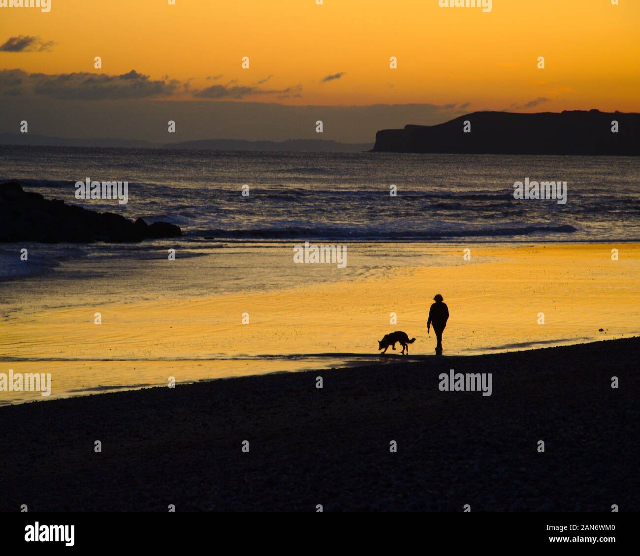 Wandern Hund am Strand bei Sonnenuntergang. Honiton, Devon, Großbritannien Stockfoto