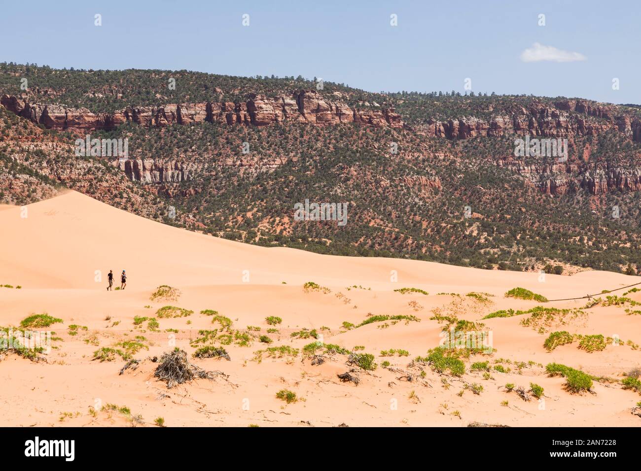 KANAB, UT, USA - 25. Mai 2012. Wüstenlandschaft mit zwei Personen wandern in Coral Pink Sand Dunes State Park Stockfoto