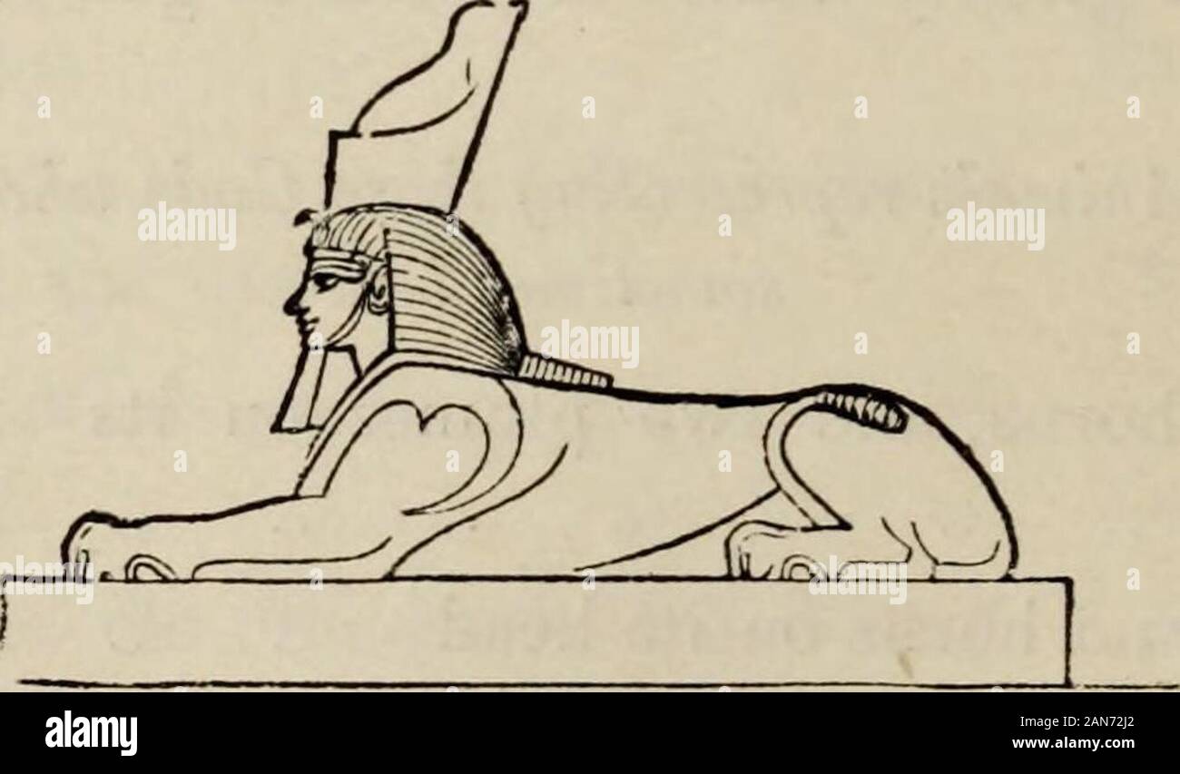 Handbuch der Archäologie, ägyptische, griechische, etruskische und römische. Buch der Archäologie. Geier, auf den Kopf der pschent Neith. Die männlichen Sphinx, bärtig, die rote Scheibe und uraeus auf den Kopf des Ra. Ein Falke, auf den Kopf der Festplatte und urseus.. Ra. Scarabaeus mit Platte im Vordergrund klauen.. .. Ra. Hawk mit Lunar Crescent und Festplatte.. .. Chonso. Cynocephalus, eine Tablette in der hand Thoth. White ibis Thoth. Hawk in einem quadratischen Athor. Kuh mit einer Diskette auf den Kopf Athor. Löwin mit einem Datenträger auf den Kopf Tefne. Hawk, auf dem Kopf eine Scheibe und Feder.. .. Munt. Ein Krokodil Sevak. Hawk mit Atf Osiris. Nycticorax (Heron) w Stockfoto