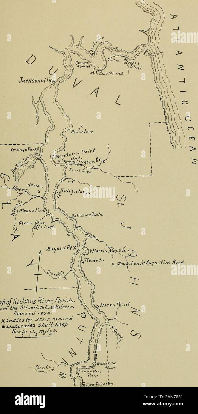 Zeitschrift der Akademie der Naturwissenschaften in Philadelphia. ein Fluss. In der Nähe von Silver Spring, Lake George (2). Juniper Creek. Astor. Ida, in Teil II dieser Hügel nördlich von Palatka betrachtet. East Palatka. Reis Creek. Deep Creek. gewagt. Picolata. St. Augustine Road. Clarks Creek. Harris Damm. Bayard. Orange Dale. Geiger Damm. in der Nähe von Peters Creek. Magnolia. In der Nähe von Hibernia. die Schweiz (4). Obst Cove (2). Julington Creek. Mandarin Punkt (3). Ärzte See. Orange Park (2). beauclerc (2). die Gewährung Damm. Mill Cove. Fulton.St. Johns Bluff. MOUNDS ERGÄNZEND untersucht. Mt. Royal, Putnam County. Obwohl eine Fa Stockfoto