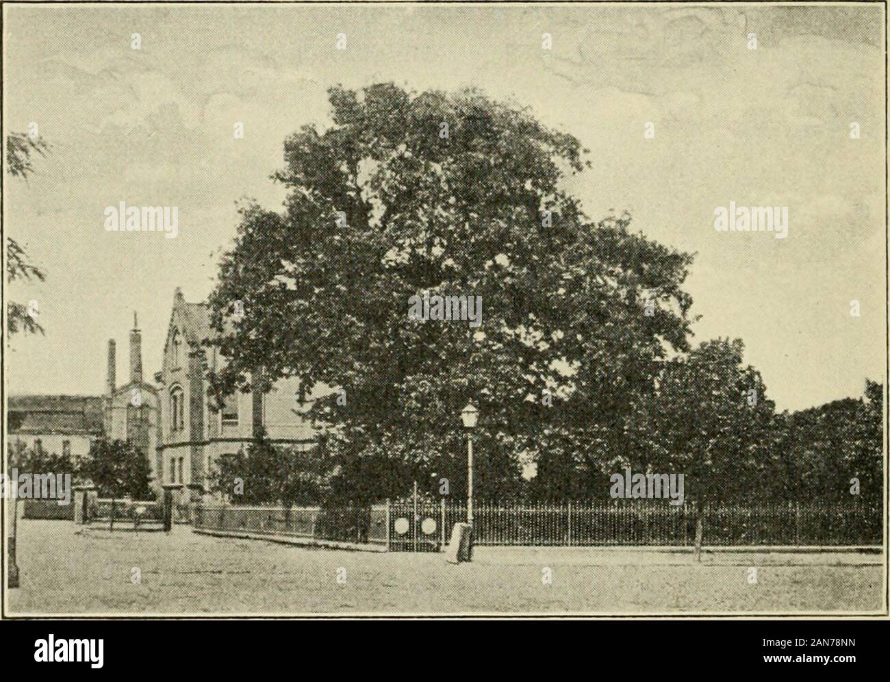 Geschichte der Alleghany Evangelisch-lutherische Synode von Pennsylvania, zusammen mit einem aktuellen Handbuch der Evangelisch-Lutherischen Kirche, seine Abstammung, Herkunft und Entwicklung. als Recht, in umstrittenen pointsthe Papst zu entscheiden, oder einen Rat? Eine Debatte stattgefunden, jedoch bei Augsburg, im Oktober 1518, zwischen Luther und ein Vertreter von Derpapst, Kardinal Cajetan. Luther verweigert die Schatzkammer des Verdienstes, und behauptete, dass der Glaube wurde für die positive Rezeption 65 der protestantischen Reformation der Abendmahl notwendig. Cajetan geltend gemacht, dass der Päpstliche Rat authoritywas Überlegen, Kirche und Sc Stockfoto