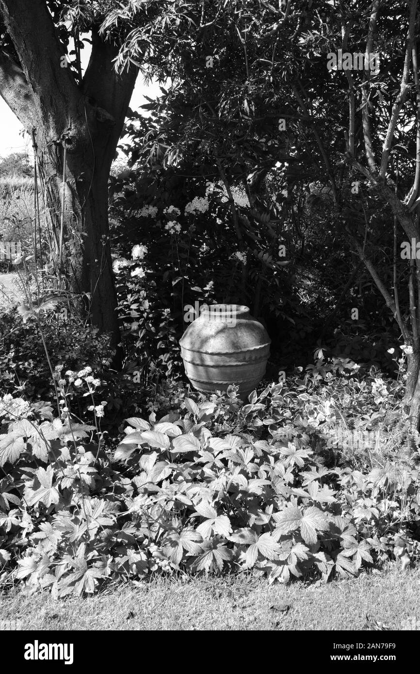 Cheshire, Country Garden, Ländlich, Dorf, Vogelbad, Großer Topf, Pflaumenbaum, England, Gartenbau, Kultiviert, Kräuter, Blumen, Sträucher. Stockfoto