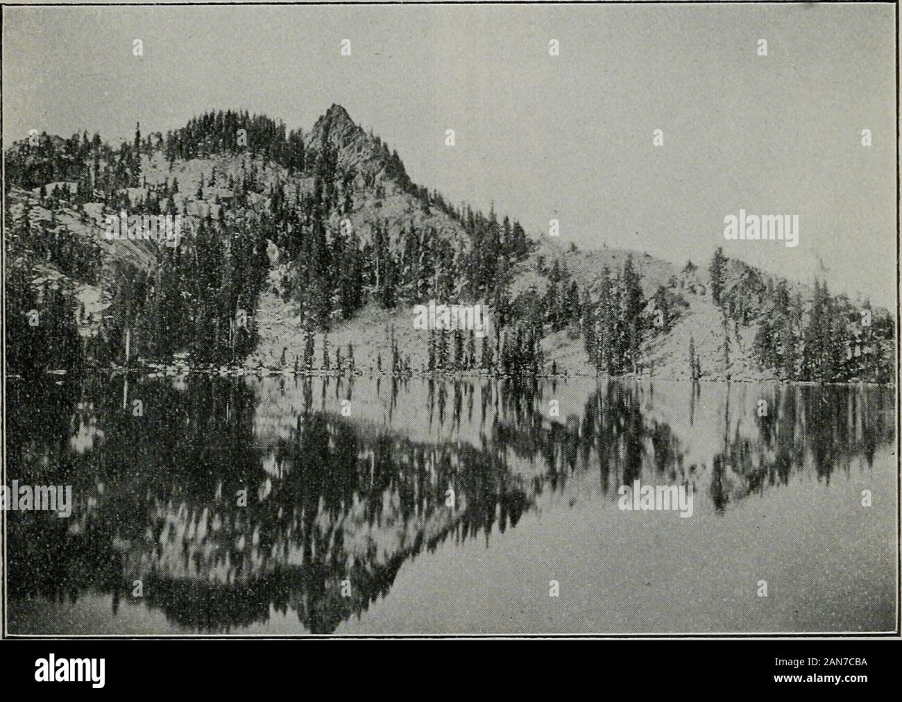 Anhang zu den Zeitschriften des Senats und der Zusammenbau der.. Sitzung der Gesetzgebung des Staates Kalifornien. Er herzlicher Zusammenarbeit der Gerichte. Während der Saison vor drei Jahren waren es 250.000 voll wilde Enten in die San Francisco zum Verkauf gebracht. Vorherige tothat Zeit hatte es organisiert worden, um die Tasche begrenzen Gesetz zu erhalten, asystem von Spiel Firmen übertragen. Es war unmöglich für die Kom- mission, diese Unternehmen zu brechen bis zum Herbst 1913, als adecision durch eines der Superior Richter erbrachten zeigten, dass sie lediglich das Gesetz und wereorganized recogniz zu umgehen. Stockfoto
