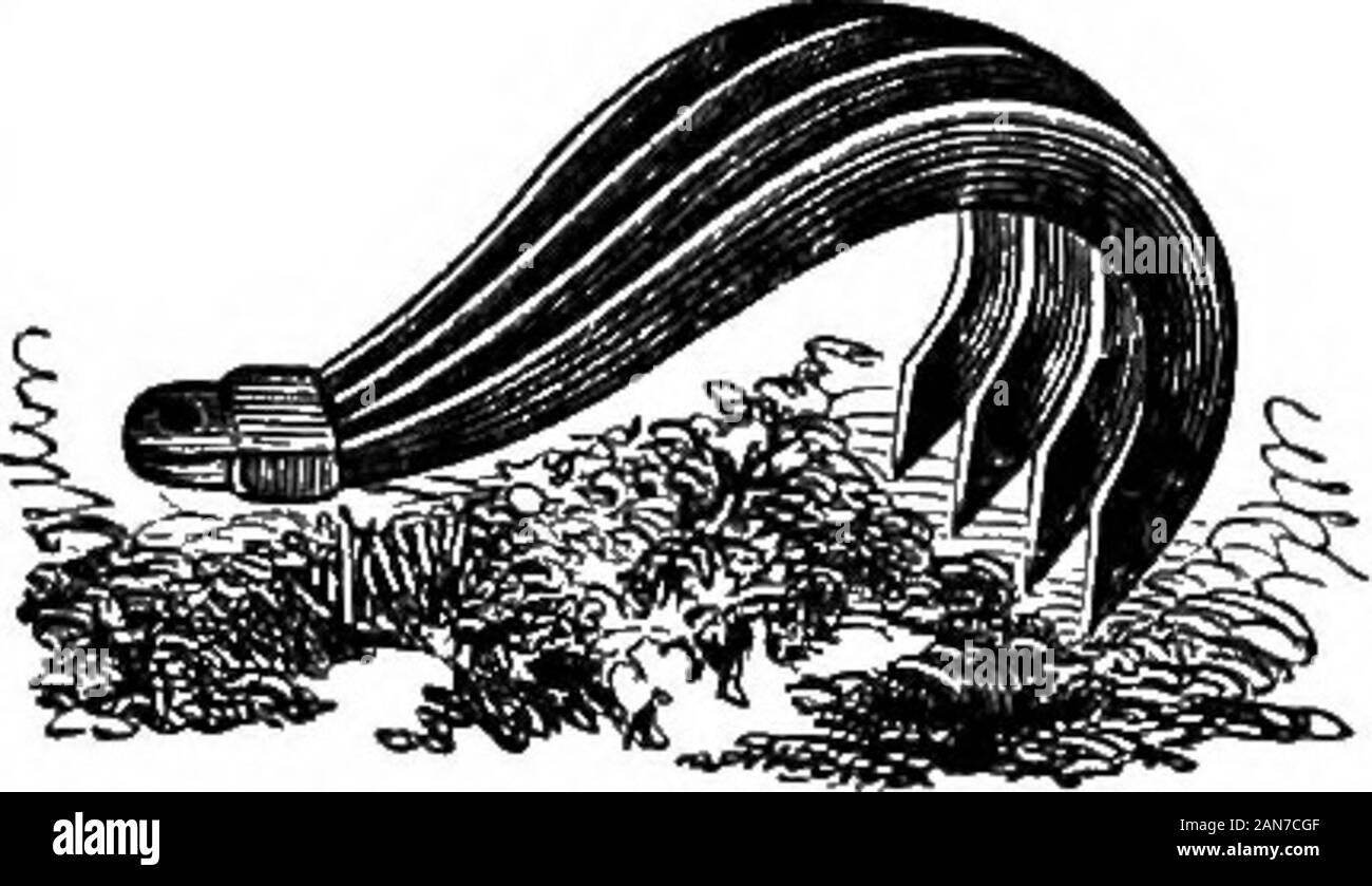 Handbuch der Landwirtschaft, für die Schule, der Farm und dem Kamin. 423. Es passiert oft, dass der Oberfläche completelymatted ist mit den Wurzeln von Büschen, und so hart wie impen. Behandlung OP-kalten Böden. 137 etrable auf die in pastureor Abfall landet, die Es designedto klar ist bis Pflug. In solchen Fällen ist eine stoutgrapple in Abbildung 4 isfound sehr nützlich in der abnehmbaren vertreten - ing der Oberfläche, die Bild sein kann. 4. zurück zu pflügen verbrannt. 424. Viel Land ist so gelegen, dass thoroughdraining bevor es kultiviert werden kann an allen zu nutzen. Das Objekt der draming ist eine Selbstbeteiligung von Moi zu entfernen. Stockfoto