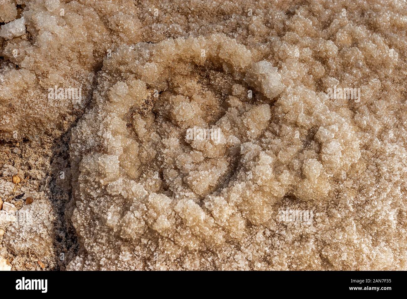 Salzkristalle aus dem Toten Meer, Israel Stockfoto