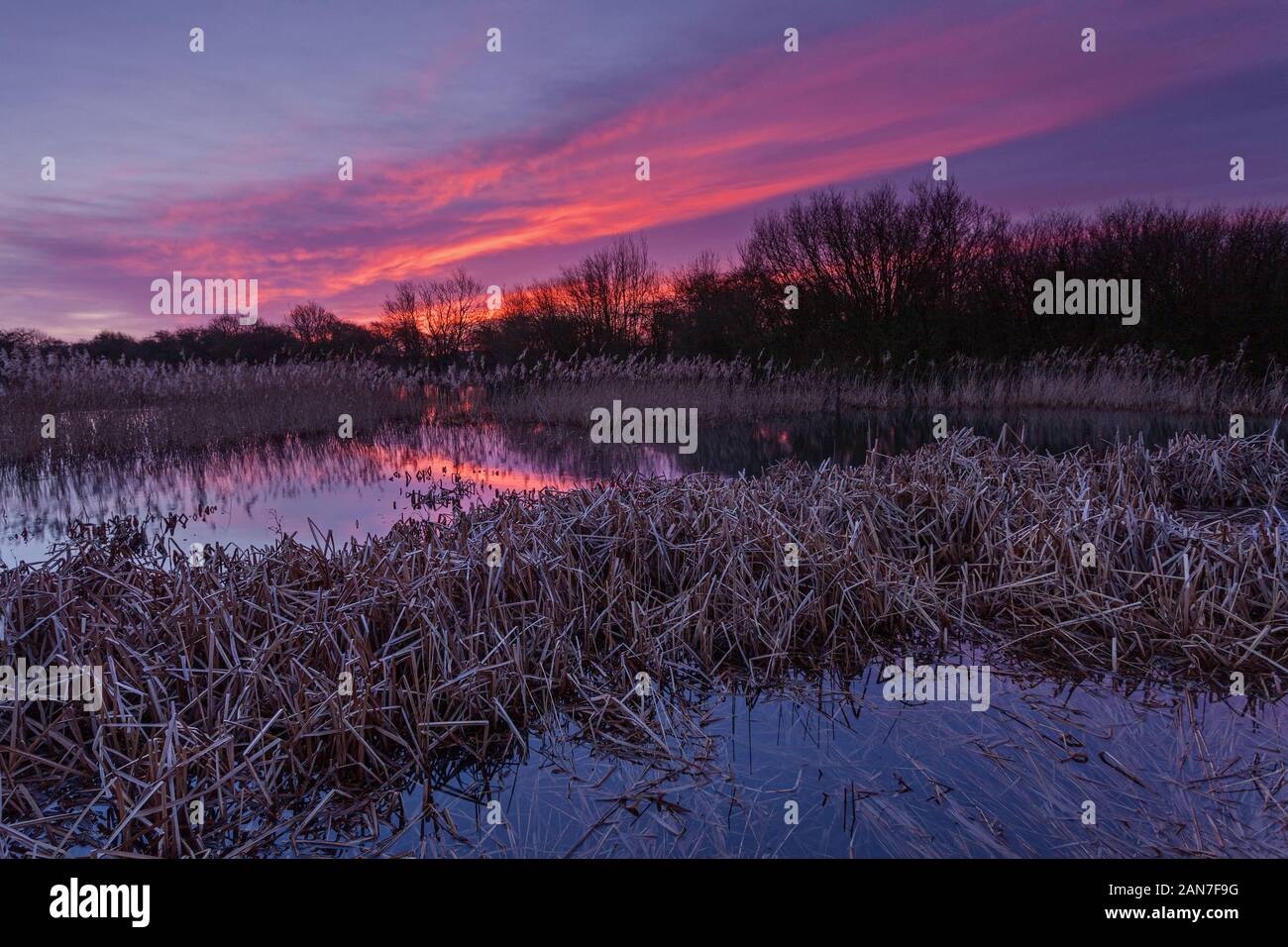 Barton-upon-Humber, North Lincolnshire, Großbritannien. 16. Januar 2020. UK Wetter: Sonnenaufgang an einem Naturschutzgebiet an einem Wintermorgen. Quelle: LEE BEEL/Alamy Leben Nachrichten. Stockfoto