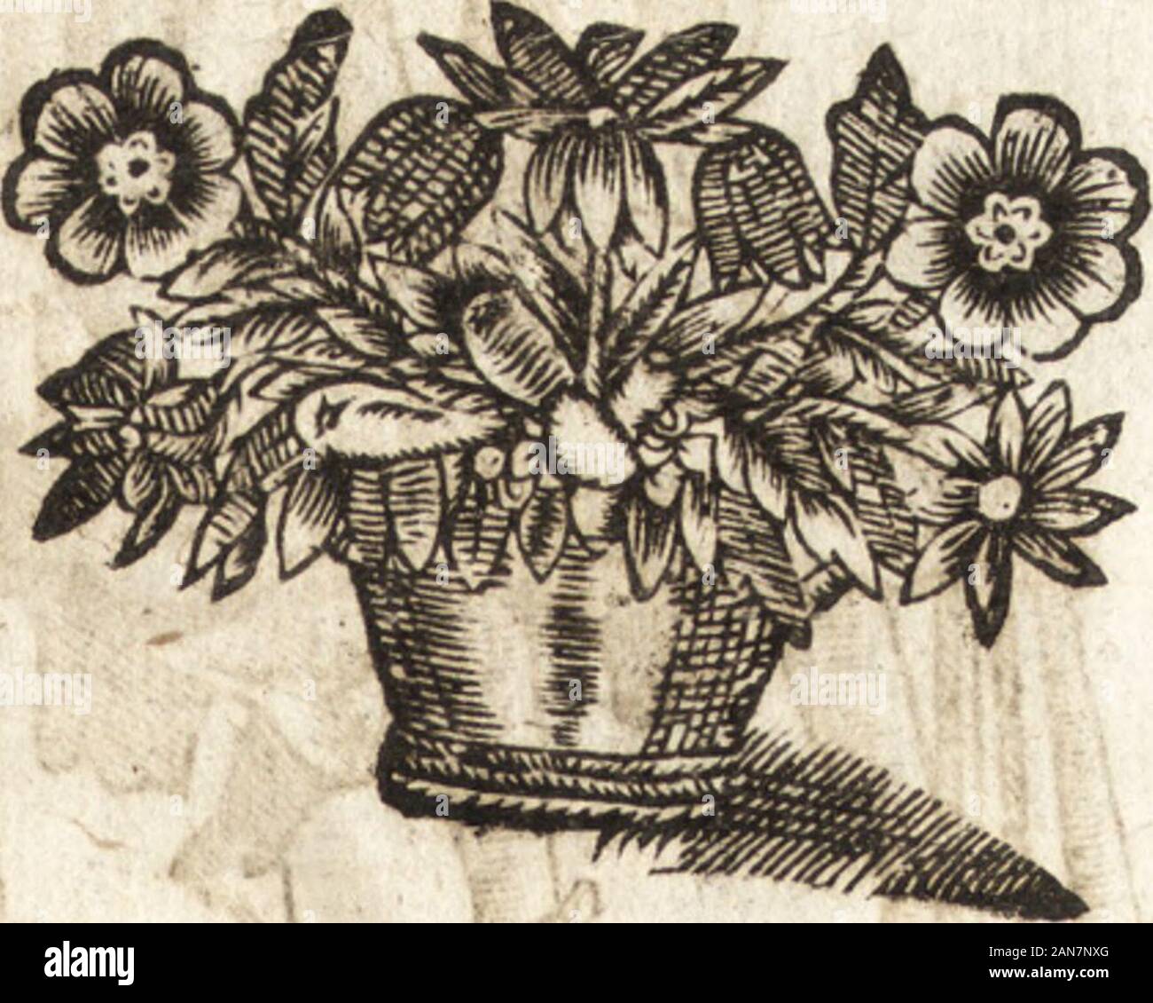 Le vray et methodique Cours de la physique, resolutiue vulgairement dite chymie: representé par Generales & particulieres: pour la connoistre theotechnie ergocosmique, c'est à dire, l'art de Dieu, en l'ouurage de l'vniuers.de laquelle Cy dlefliis aefté Dit: Comme pour les Tyrer Teintures des TeintuMinéraux&gt; Et en Médecine il vaut intérieure- de Trois ein neuf Körner, auec Le fuc de chaflcr Parietaire pour le Fabel des Zügel, auec de lEau Chardon bénit., pour les fièvres quartrr rievres Quar-lour meime de 1 accez; rour lElquinence en tes. Ich Gargarifme et pour vn fort Bo Stockfoto