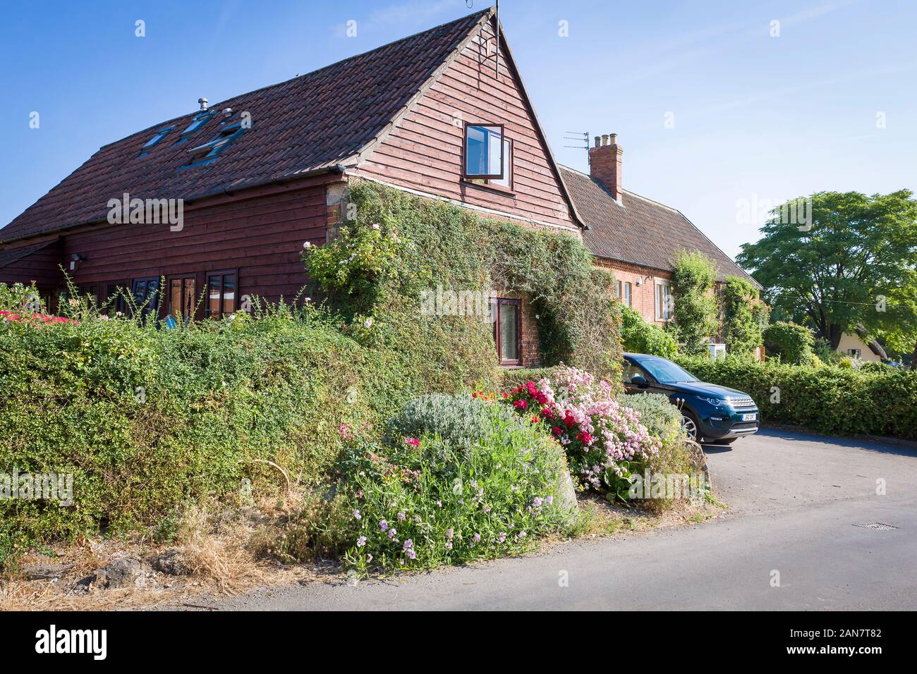 Informelle Straßenrand Garten vor der modernen chalet Bungalow in Heddington in der Nähe von Campalto Wiltshire England Großbritannien Stockfoto