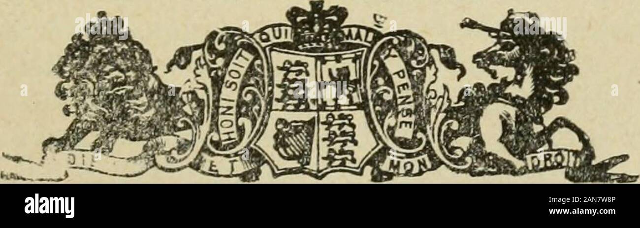 Ontario Sitzungsdiensten Papers, 1895, Nr. 33-67. Abb., LL, QC Außerschulischen Professor für Psychische Erkrankungen: Daniel Clark, M.D., Tor. Profetsor der Physik: James Loudon, M.A., LL.D. Dozent für Physik: C. A.: Gesang, B.A.-I* rotessor für Chemie: W. H. Pike, M.A., Oxon., Ph.D., Göttingen. ^ Dozent für Chemie; W. L. Miller, B.A., Ph.D., München. F. B. Allan, B.A. Dozent für Chertiistry und Toxikologie: W. H. Ellis, M.A, M.B., Tor. Professor der Biologie: R. Ramsay Wright, M.A., B.Sc., Edin. Professor für Physiologie: A. B. Macallum, B.A., M.B., Tor., Ph.D., Johns Hopkins. Assistant Demonstrator in Biol Stockfoto
