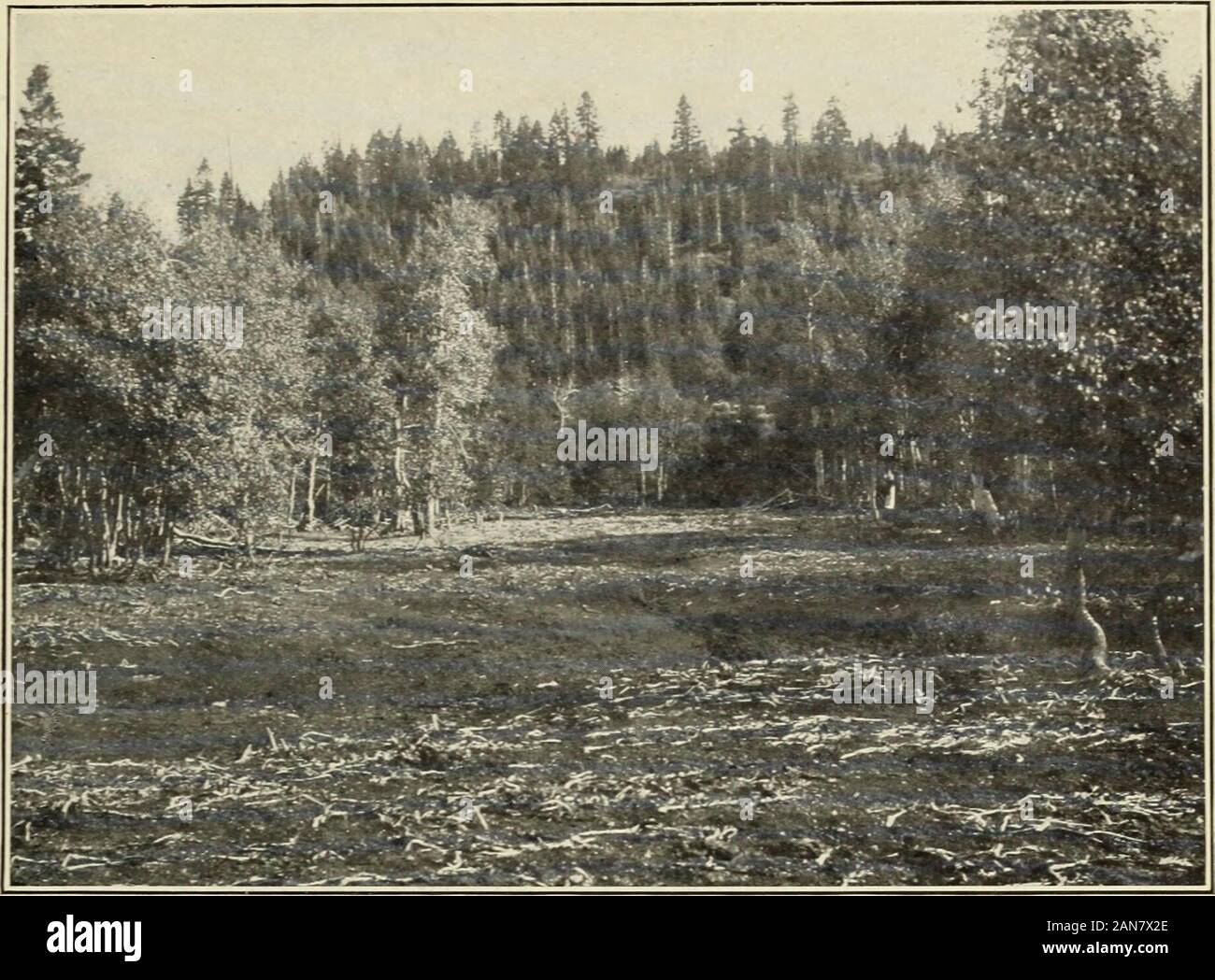 Selbst Gesat Stockfotos Und Bilder Kaufen Alamy