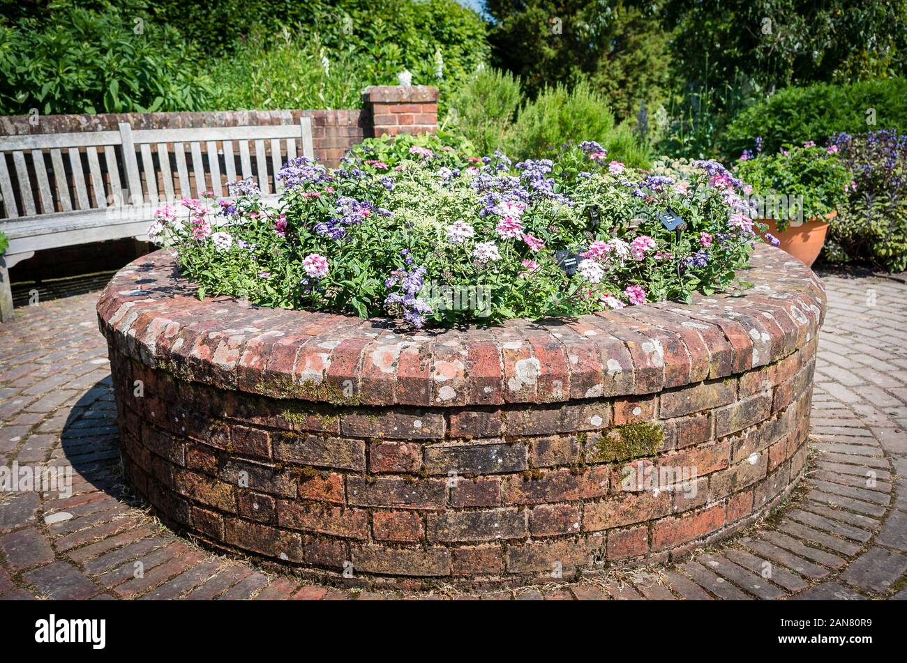 Kreisförmige Backstein Pflanzmaschine angehoben in einem rosemoor Garten mit Sitzbank in eine sonnige Lage in Großbritannien Stockfoto