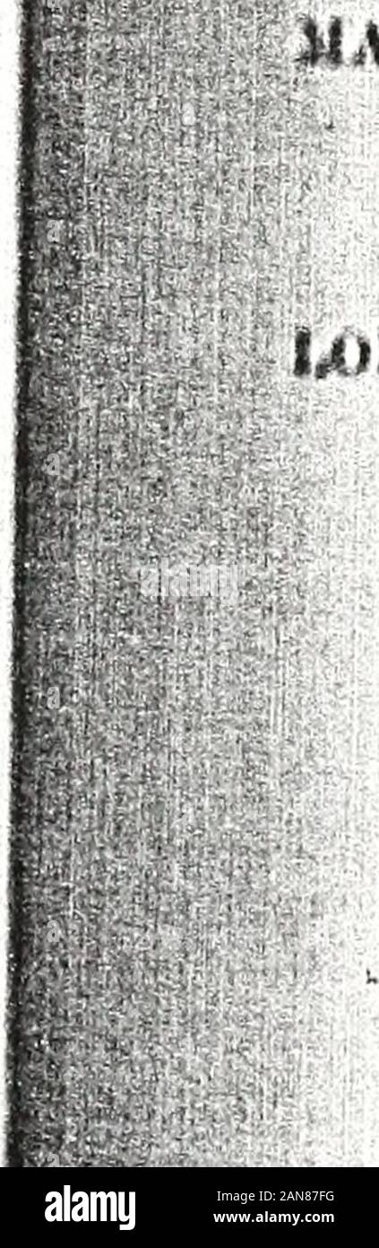 Katalog der Gemälde, Januar 1913. K - DIE GESELLSCHAFT DER WESTLICHEN Künstler. Lecken SOIULLE. 7!). Bodensee. 80. Weiden, Morgen Wirkung.. 81. Margaret. SIIULZ AOOLlIt K.. 82. Über das Tal. BfObMKS SMITH. 83. Red Canyon, Wolf, AYyoming.SI. Berg Grizzly, Gletscher, B.C., 85. Lake Louise, B.C. KcAIUi SMITH. SO. Rücktritt. pTTO STARK. 87. Huilding Operationen. 88. Der Kies Bild.T, eine STKIOLF. 8!). Winter Sonnenlicht. 90. Winterlandschaft. WlM, II. STIOVENS. 91. Tiiio Fluss, Morgen. IpfilA M. STUEVER. 92. IOvening. 9.!. Straße in Irinzing, in der Nähe von Wien. jklAl.DK JAGD SQUIRE. 9 1. Cottage, Schwarz Fores Stockfoto