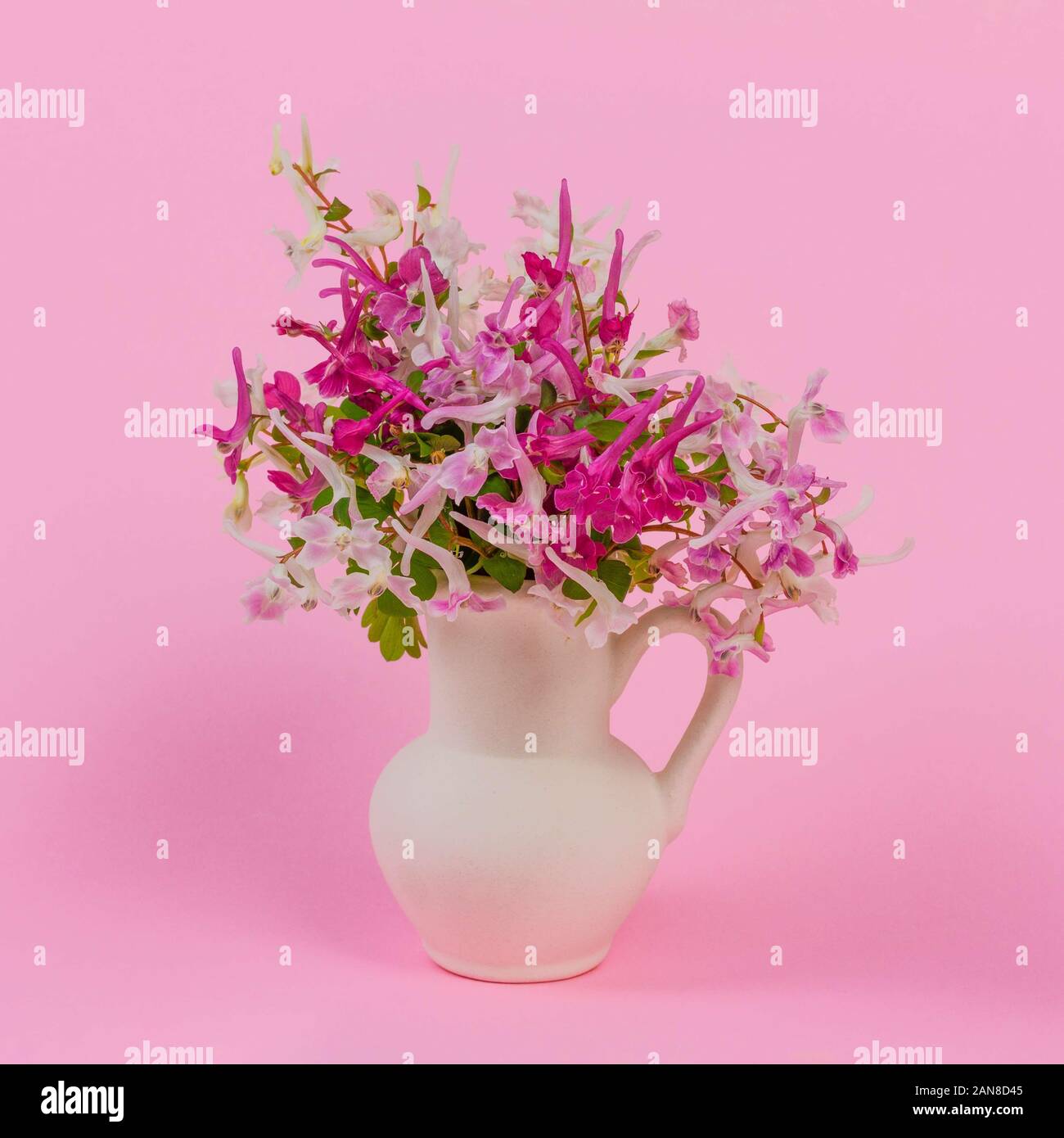 Noch immer leben mit einem Bouquet von kleinen Wald rosa, weiß und lila rote Blumen in einem weissen Krug auf einem rosa Hintergrund Stockfoto