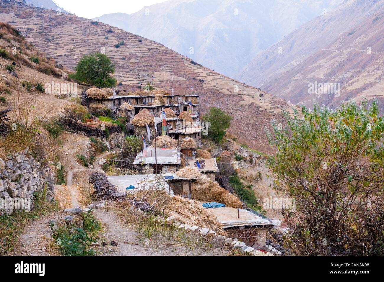 Das tibetische Dorf Tarakot in der Region Dolpo im Westen Nepals. Haufen trocknender Ernte auf den Dächern von Häusern Stockfoto