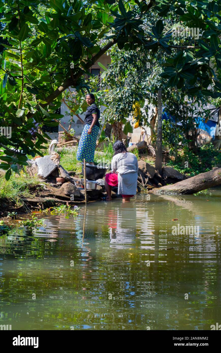 Lokale Frauen in Backwater, Kumarakom, Kerala, Südindien Stockfoto