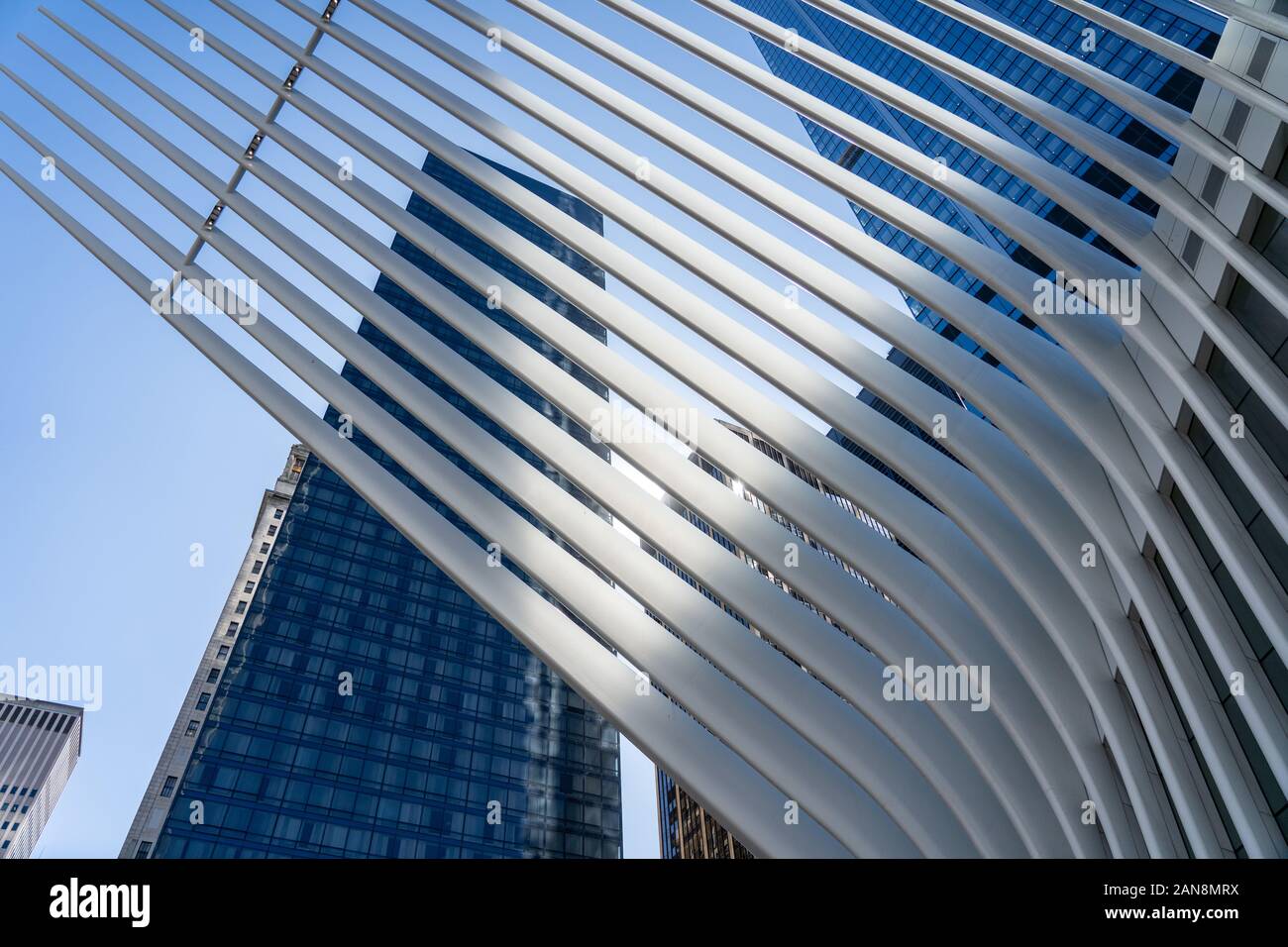 WTC Station Oculus Dachkonstruktion Stockfoto