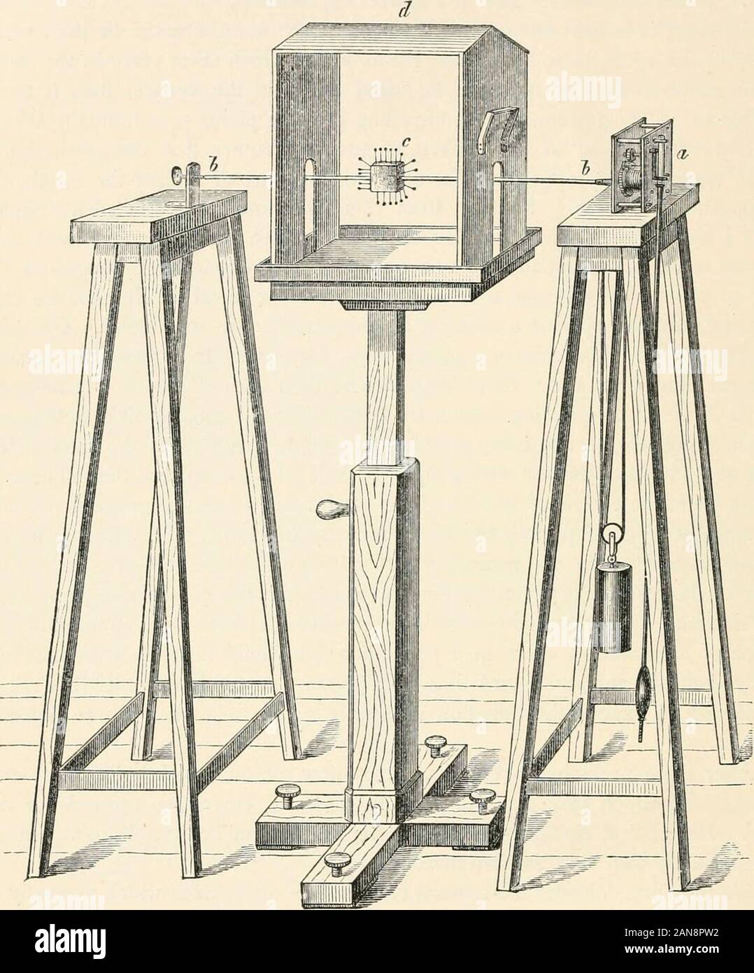 Vorträge auf der Physiologie der Pflanzen. iefly mit der Dicke, steife, lange Internodien ofsuch Blume - Stiele als beträchtliche Höhen in kurzer Zeit zu erreichen, und der smoothsurfaces von denen Zugeben von mit Tusche, und der genauen measurementof die markierten Teile. Die Messungen auf der Geraden schießt, als auch auf Seiten des theconcave und konvex gekrümmt sind, wurden mit Hilfe von flexiblerules auf steifes Papier gestempelt. Um in der Lage zu sein, die Prozesse bei der Krümmung der shoot-axesit ist notwendig, vorher mit der Verteilung des Wachstums in vertraut zu sein zu kritisieren Stockfoto