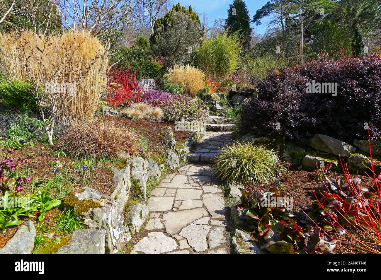 Der Wintergarten, Bodnant Gardens, Tal-y-Cafn, Conwy, Wales, Großbritannien Stockfoto
