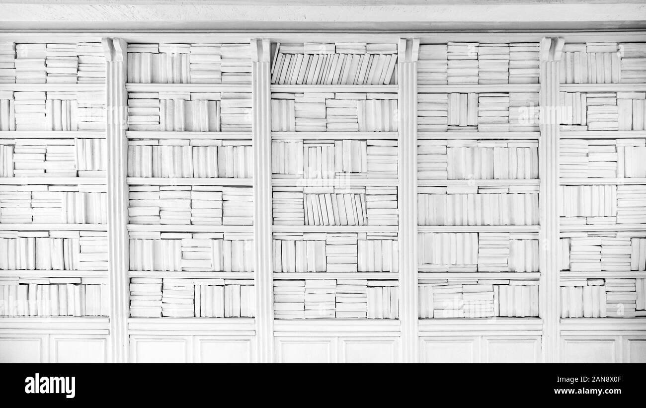 Hintergrund der Wand Regal mit Büchern. Hintergrund der Bücher.  Hintergrundbild von Regal voller Bücher. Weiß monophone Hintergrund  Stockfotografie - Alamy