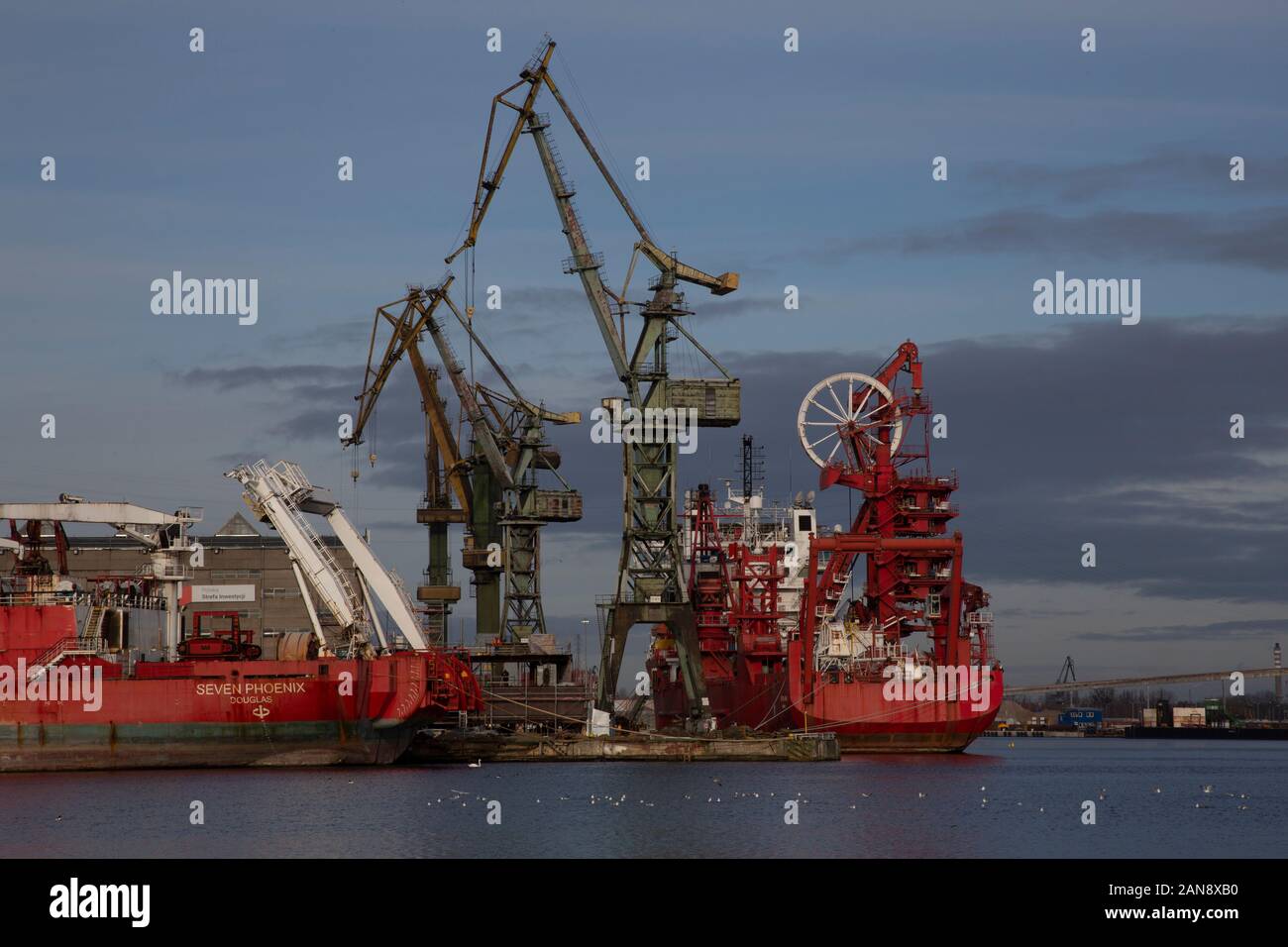 Rot Schiff und Hafenkrane in der Danziger Werft - Stocznia Gdańska - Danzig, Polen Stockfoto