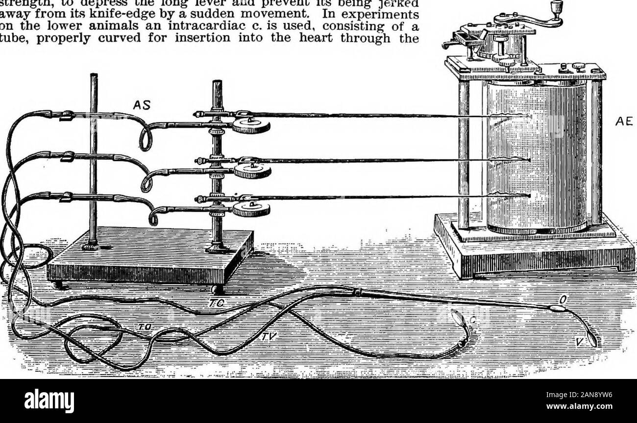 Eine bebilderte Medizinische encyclopaedic dictionaryBeing ein Wörterbuch der technischen Begriffe von Schriftstellern auf die Medizin und die Sicherheiten, die in der Lateinischen, Englischen, Französischen und Deutschen Sprachen. oalabins EKG-Schreiber, (nach bramwell.) aus zwei Teilen, von denen eines anderen Folien und kann iixedwith eine Schraube, C. in einem zweiten Messers Schneide, i), die orlowered angehoben werden kann, ist es am Stab befestigt. Die messing Rahmen ist kostenlos bymeans von zwei quer Stahlstangen, E, durch Gelenke, F angeschlossenen schwang, erlauben - ing von vertikalen und horizontalen Anpassung auf vier vertikalen steelrods, Gy jedes Paar eingesetzt wird Stockfoto