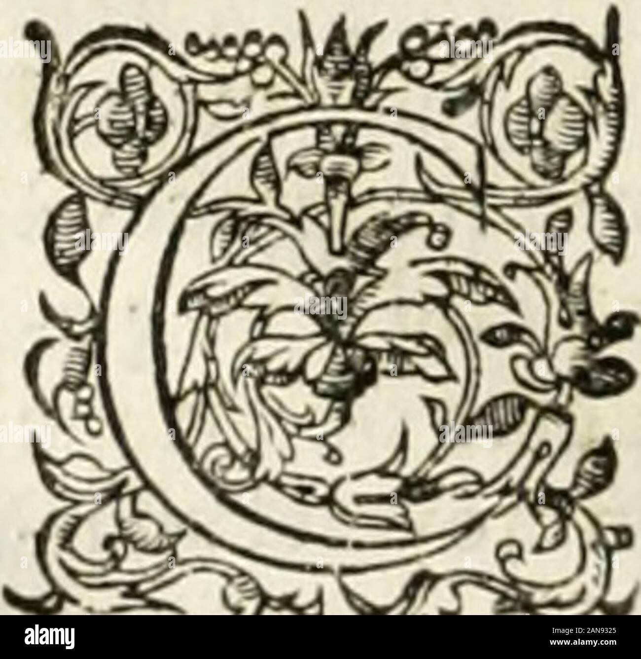 La Vie de Monsieur de Renty. dvne extrême Geduld,&c Quil a pratiquée dans vneperfe - âion héroïque, qui a Donné de létonnemcnt à tous ceux quienonteuconnoiffancejmais ceftaflez, nousenauons parléfuffifamment, & iene doute point que Monfieur de Renty, qui efl: Maintenant, nous comme fes Vertus eminentes Don-nent toutfujet de Le croire, au lieu de la parfaite Charité, napprouue mon dcfTein de nen pas dire dauantage, & dvferde enuers retenue Vne perfonne, à laquelle Il a porté toute favie tant Damour & tant de refped. CH EIN PI-T RE VF. Sa Kasteiung. E que nous auons dit iufqucs eisigen dans cet-te Fé Stockfoto