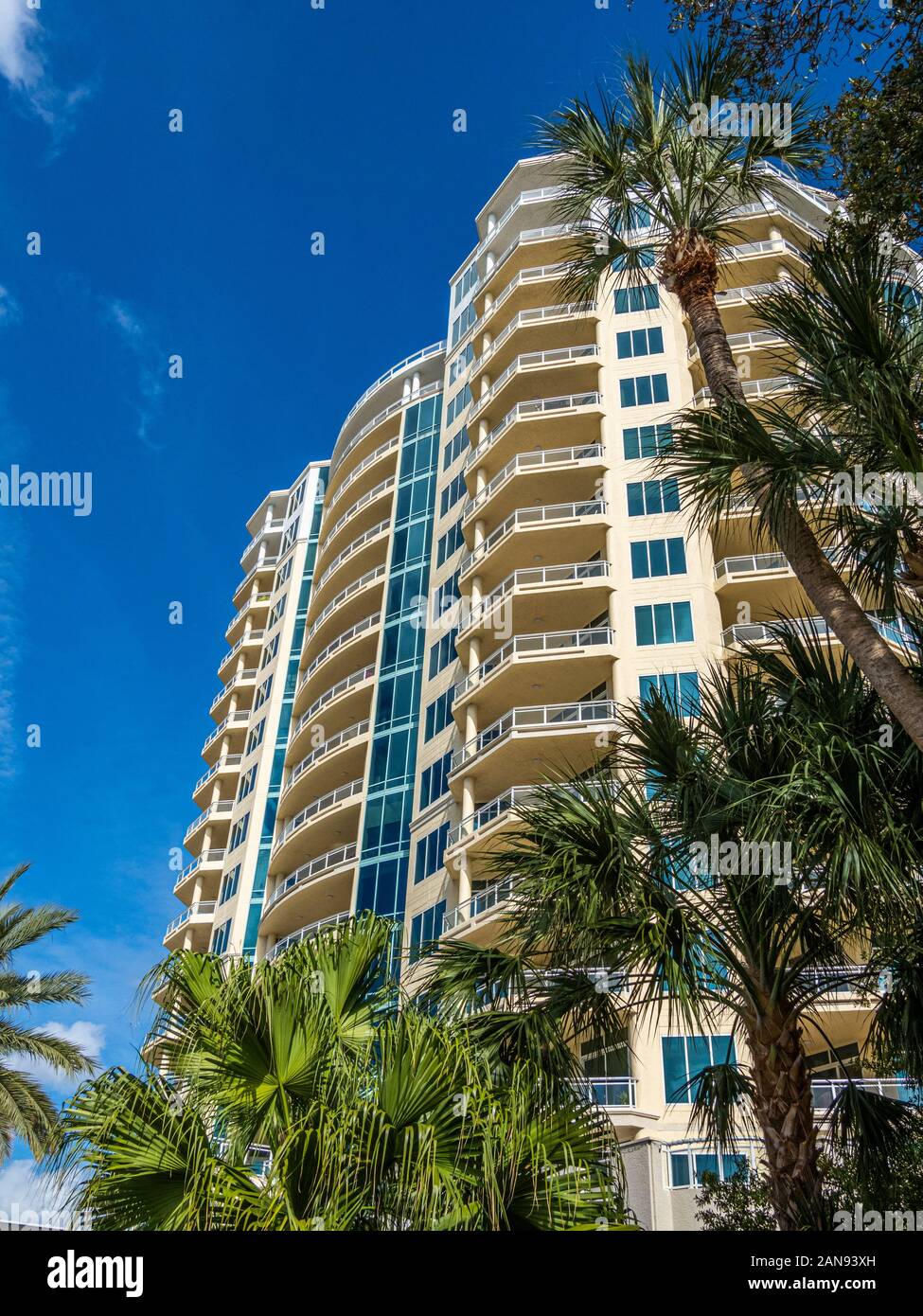 Blick auf hohe Gebäude in tropischen Downtown Sarasota, Florida, United States Stockfoto