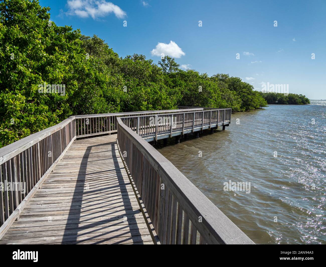 Boardwalk auf Lemon Bay Aquatic bewahren in Lemon Bay Park in Englewood, Florida, United States Stockfoto