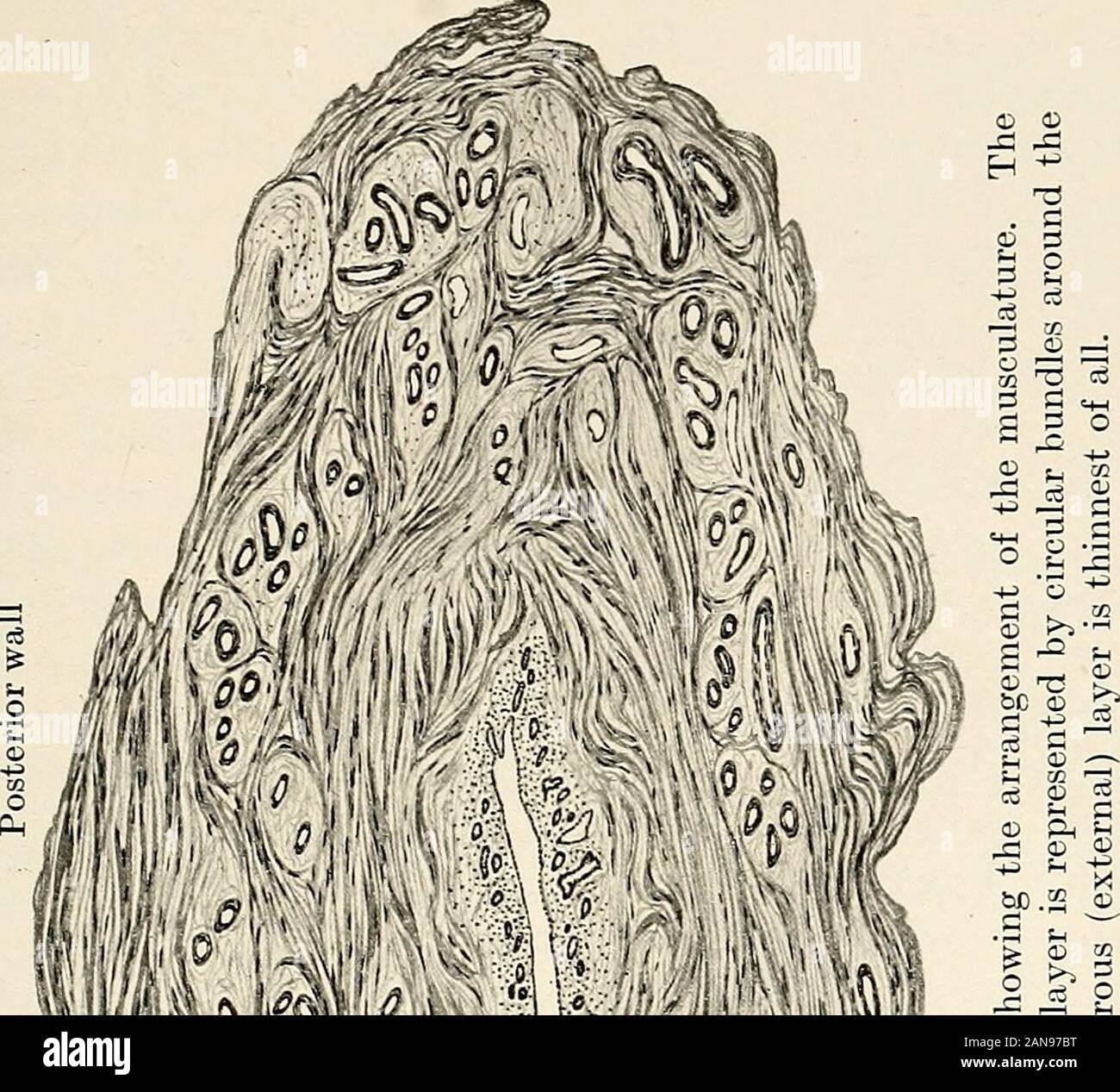 Gynäkologische untersuchung jungfrau