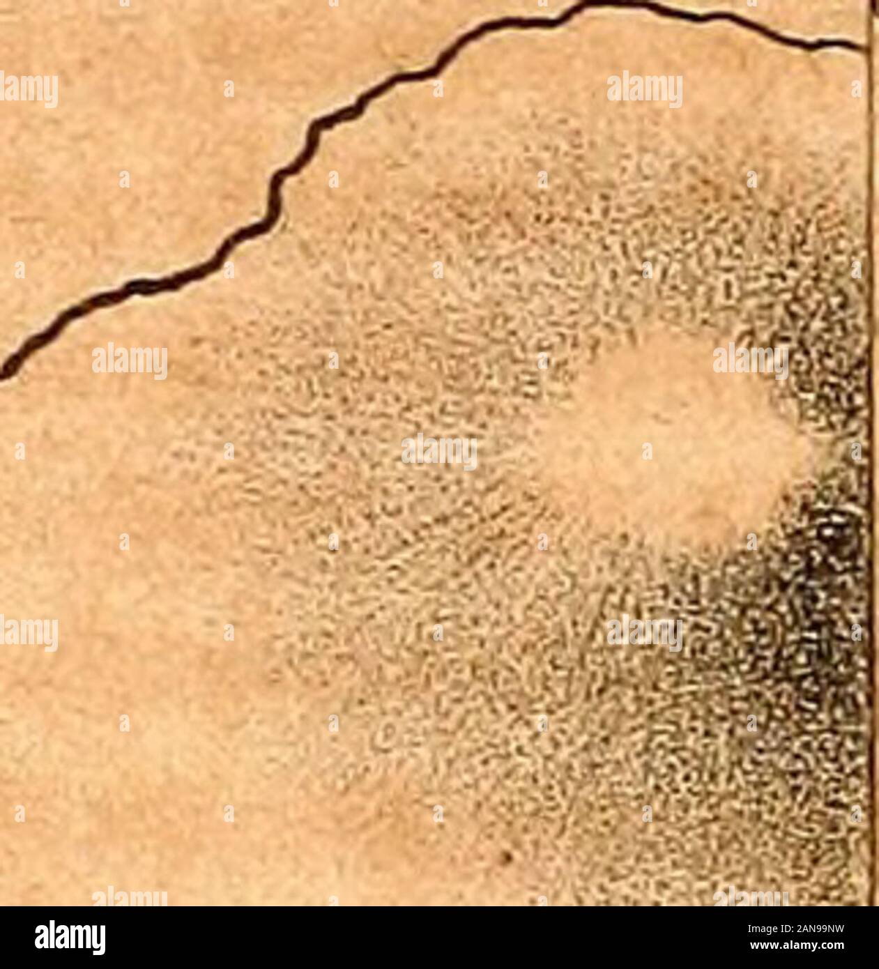 Die Geschichte der Stadt Plymouth: Von der ersten Siedlung im Jahre 1620 auf das Jahr 1832. Im und nicht Johannes, dass der Vorfahr war der Richter Morton. Ich habe thepermission von Hon. Richter Davis der Fehler von ihm zu korrigieren inhis Edition der Gedenkstätte. Seite 154, im Noto, für Cornelius lesen Gideon. Seite 48, der Satz in der Mitte der Seite sollte nicht bei thewords Sitzen aufgeteilt werden, außer durch ein Komma. Seite 35, für hocakeread nocake. Seite 20, für Während für Schiffe., lesen aber nicht für Schiffe. Pago83, in der Nähe der Unterseite für Dulled lesen gebohrt. Seite 335, für die Ausbildung der Grünen re Stockfoto