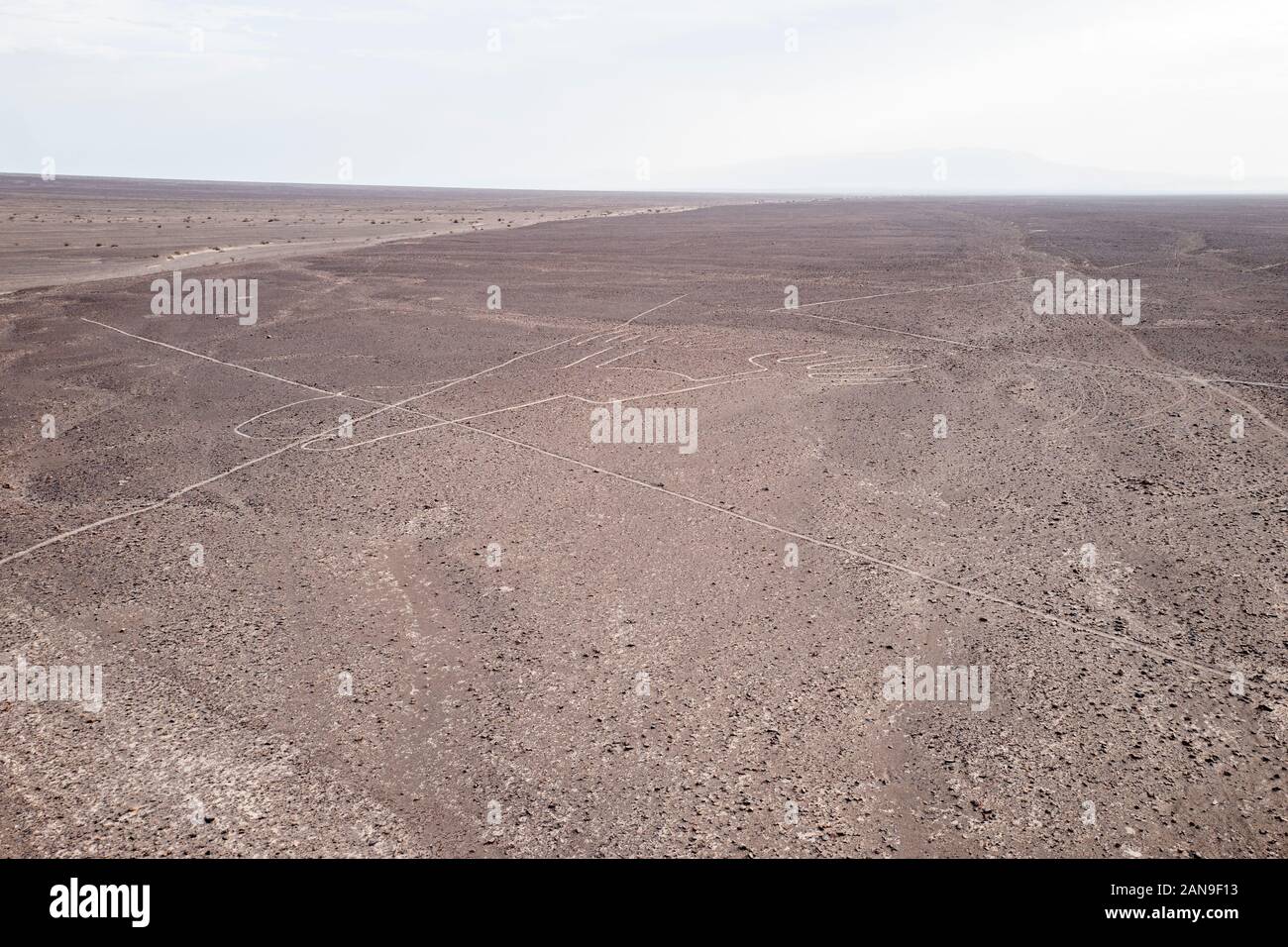 Präkolumbianische Nazca Linien Geoglyphen in der Nazca Wüste, Süd-Peru Stockfoto