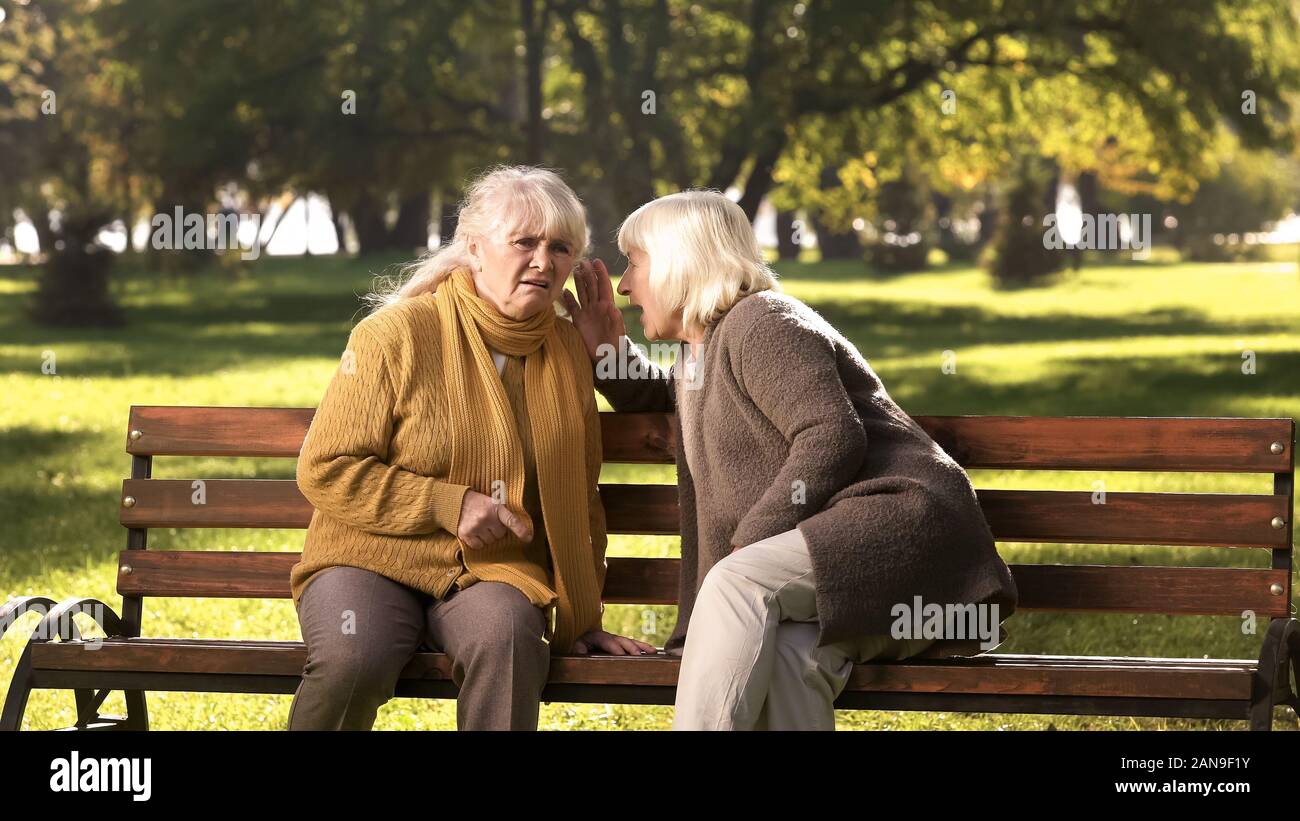 Alte Frauen erzählen Geheimnisse, sitzt auf der Bank im Park, die Freundschaft, die goldenen Jahre Stockfoto