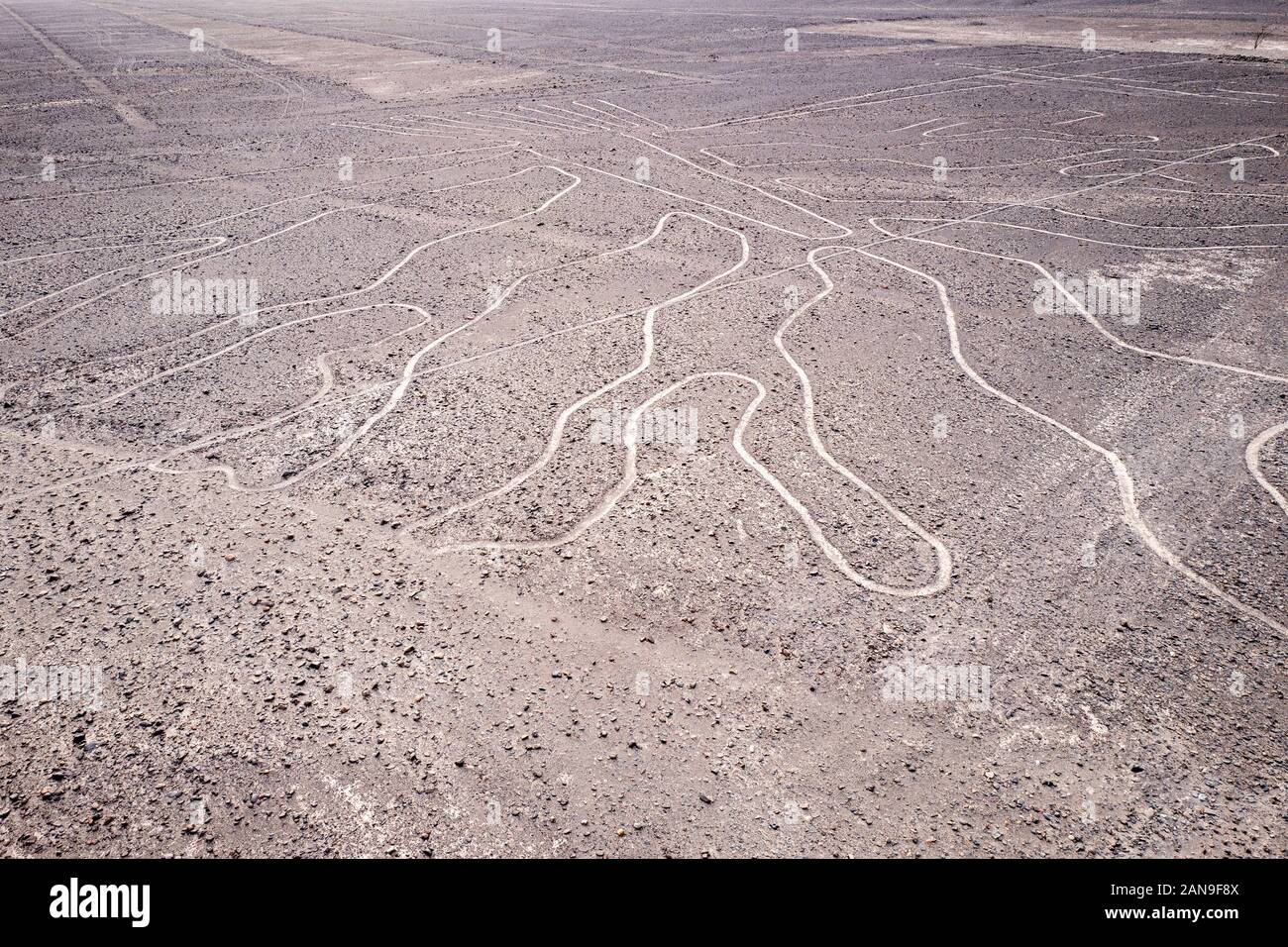 Präkolumbianische Nazca Linien Geoglyphen in der Nazca Wüste, Süd-Peru Stockfoto